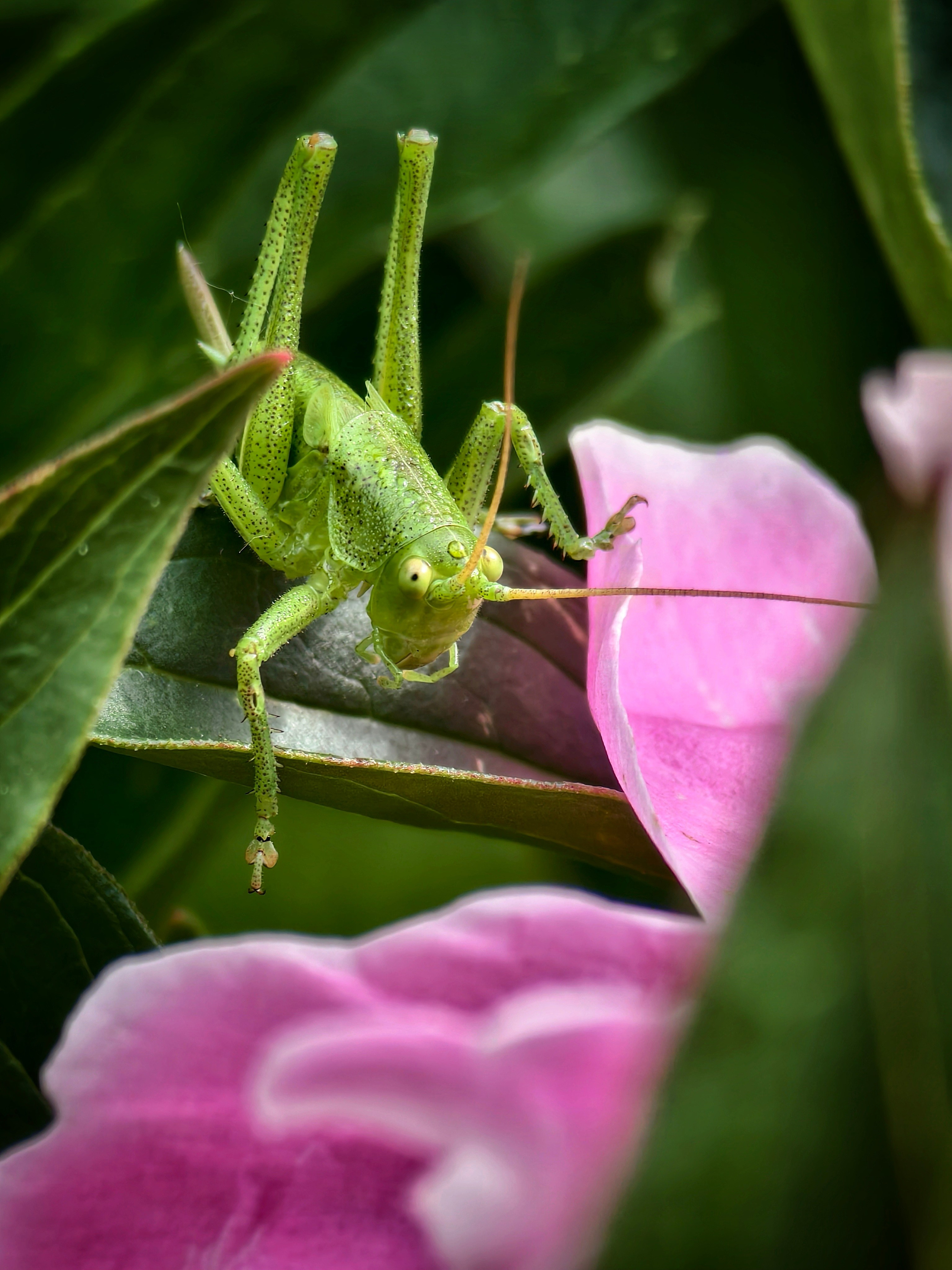 Большое в малом