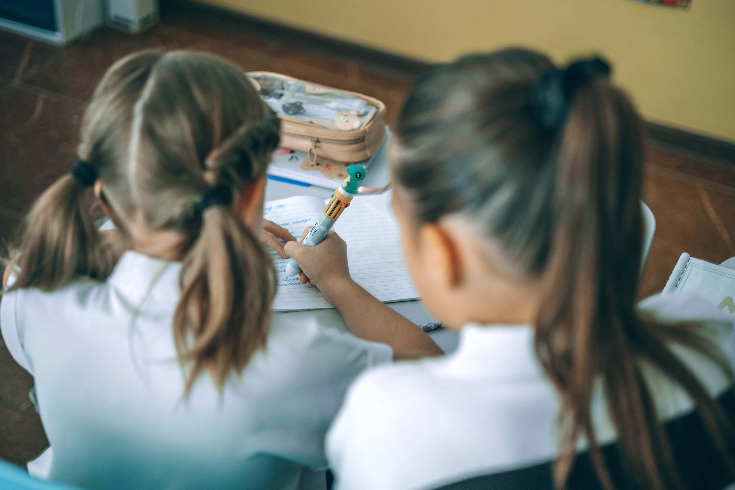 Индивидуальная школьная съёмка. Художественный фотограф Анапа Александра Долбикова