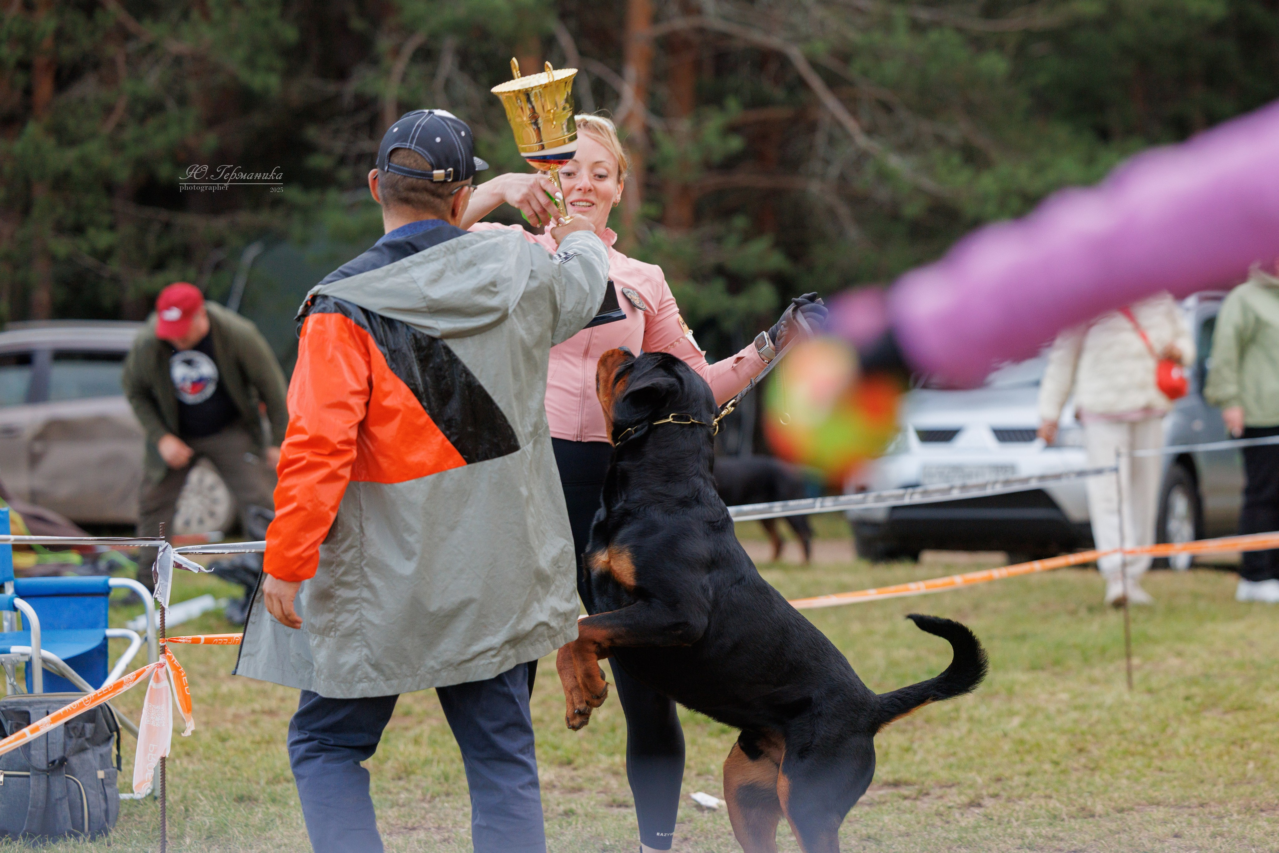 Тверь ротвейлеры 5-6.07.2025. Фотограф-анималист Юлия Германика