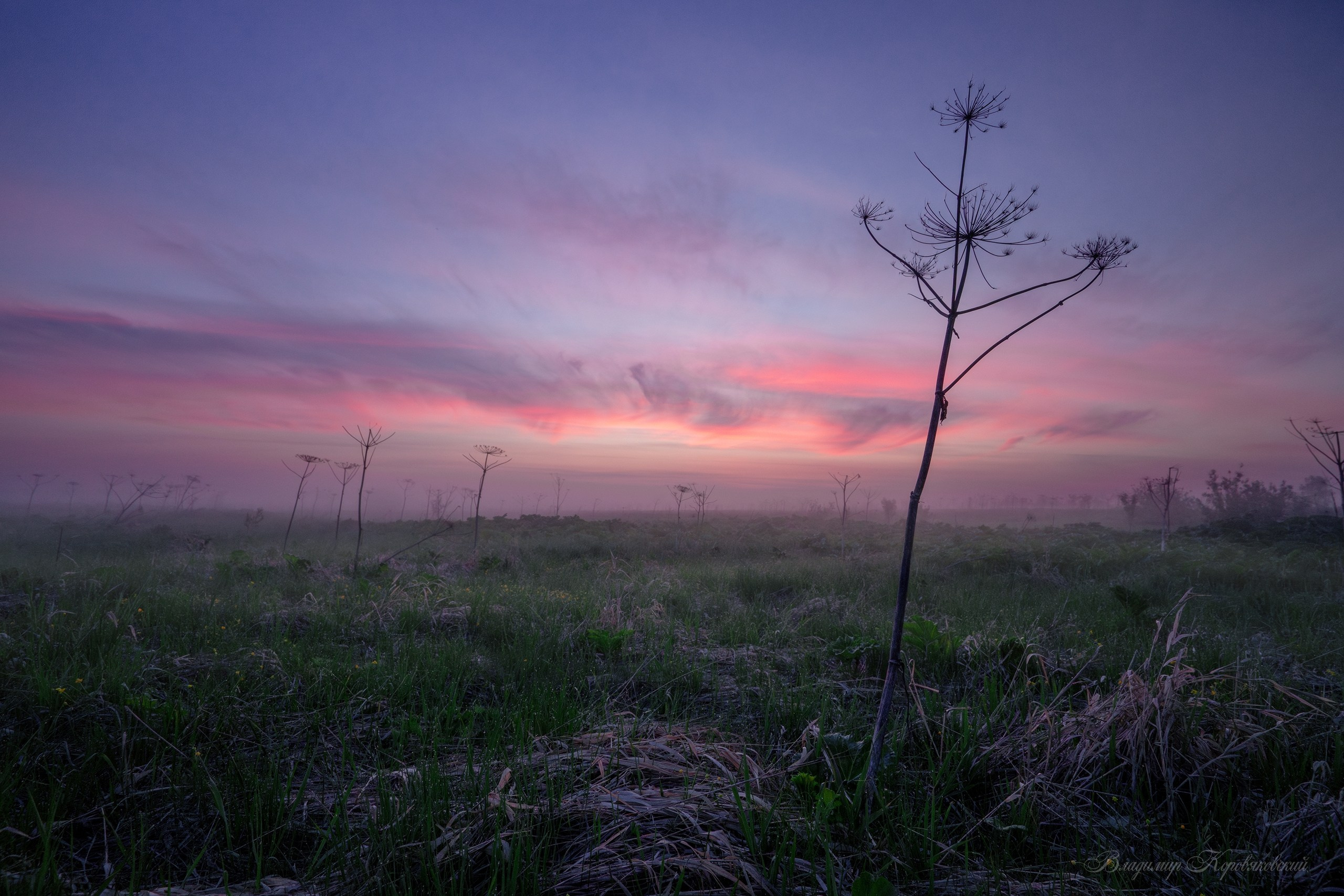 Природа. Фотограф Владимир Коровяковский