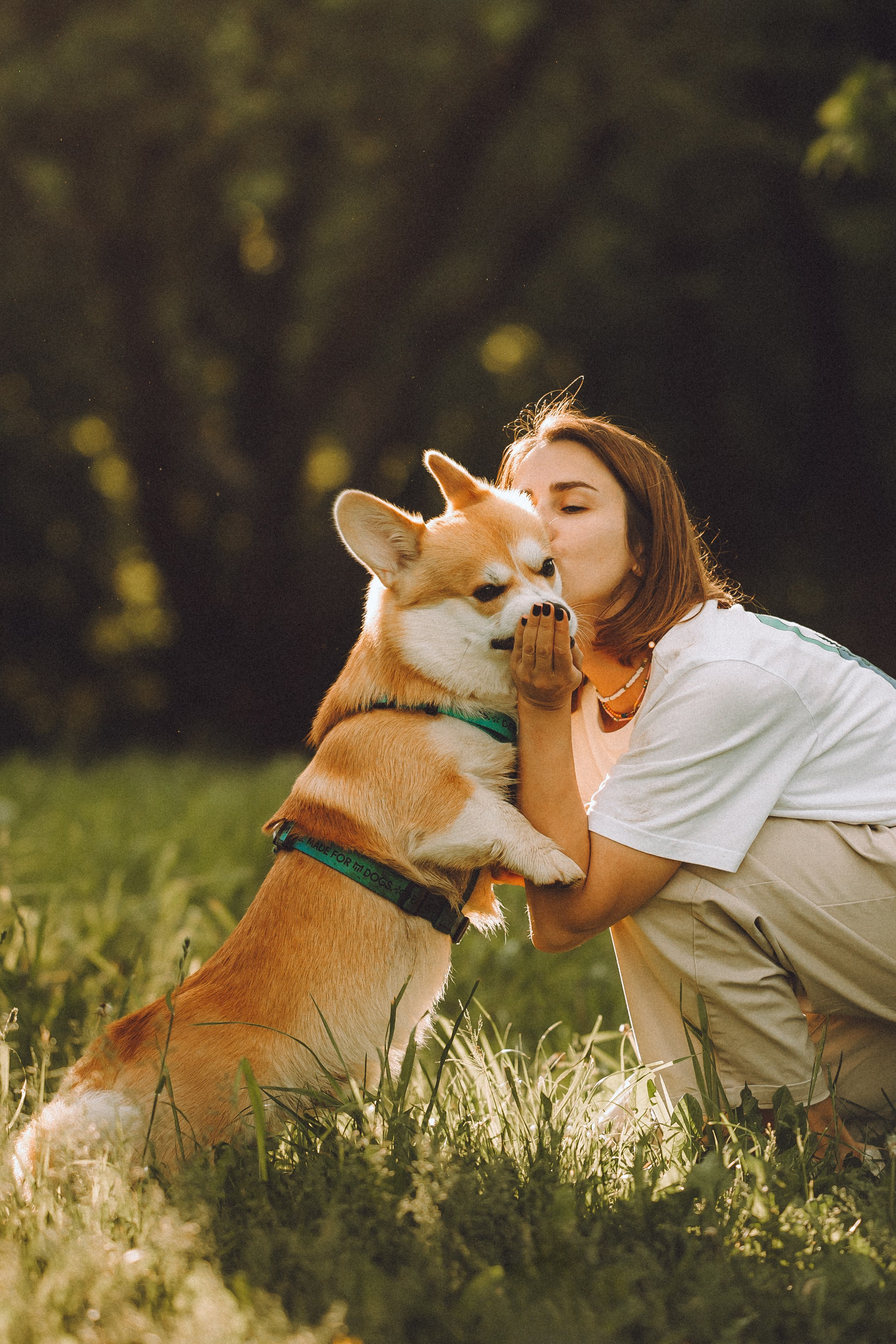 Вирджик и его семья