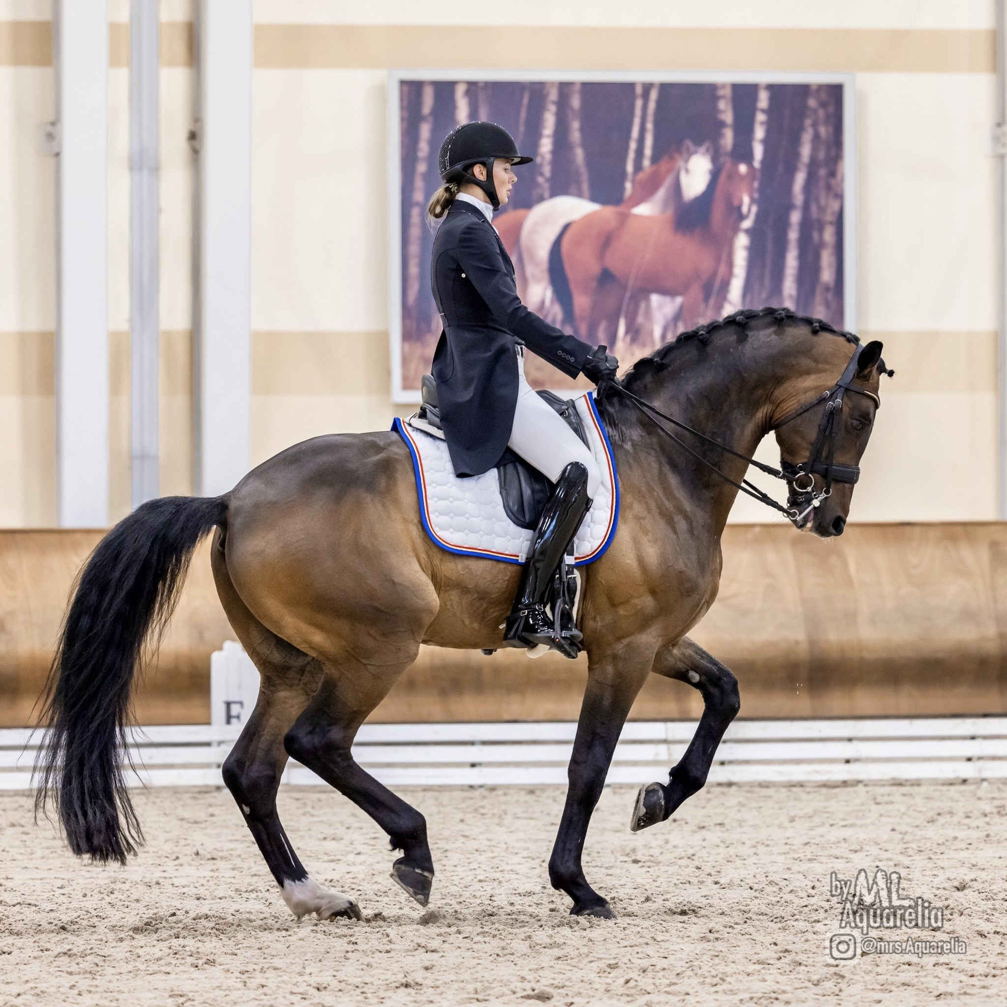 Seminar 5 July Evaluating gates in dressage. Liana Antanovich | Equestrian Strategies