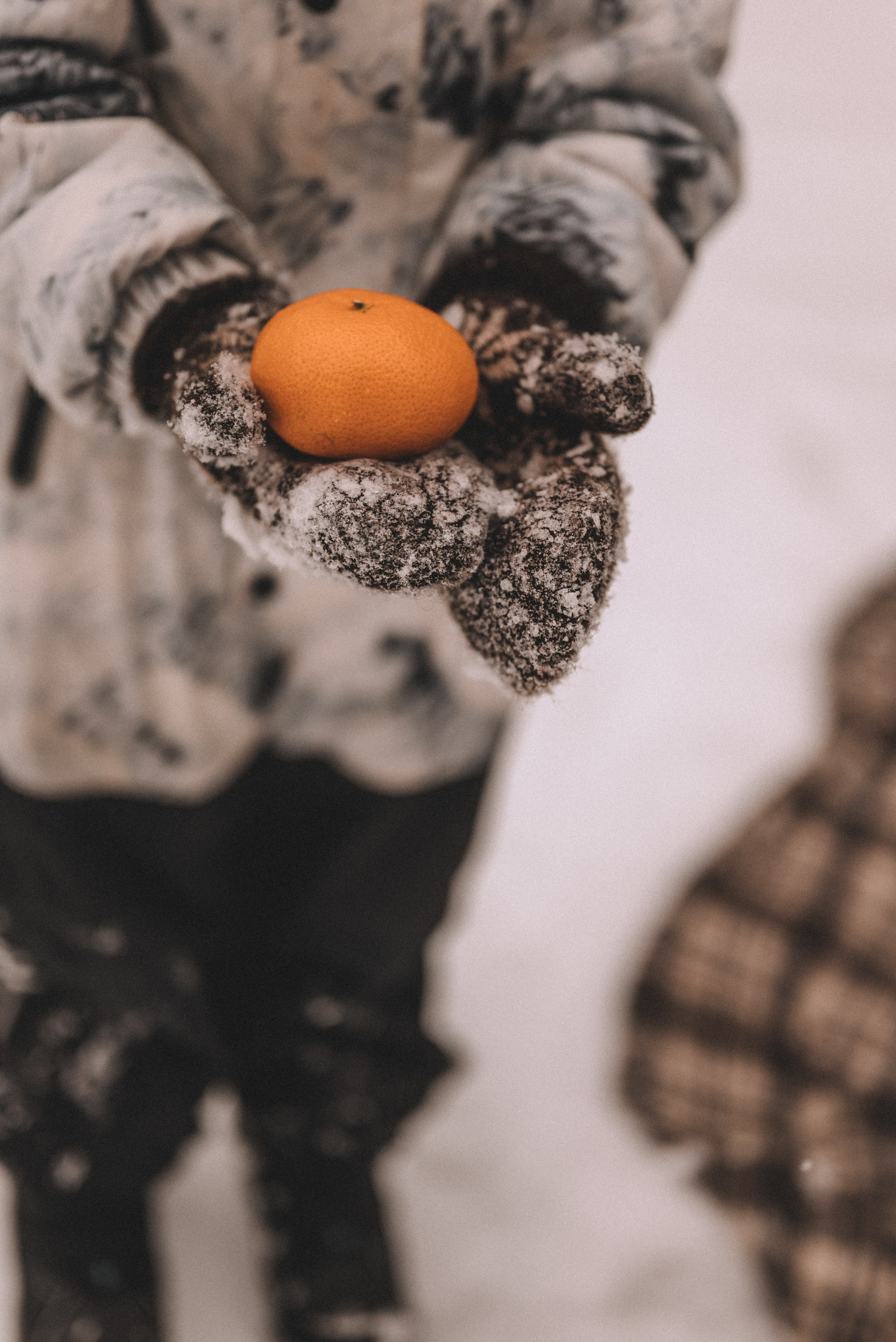 Сергей и Наталья с Ксюшей и Максимом. Фотограф Кристина Пархоменко