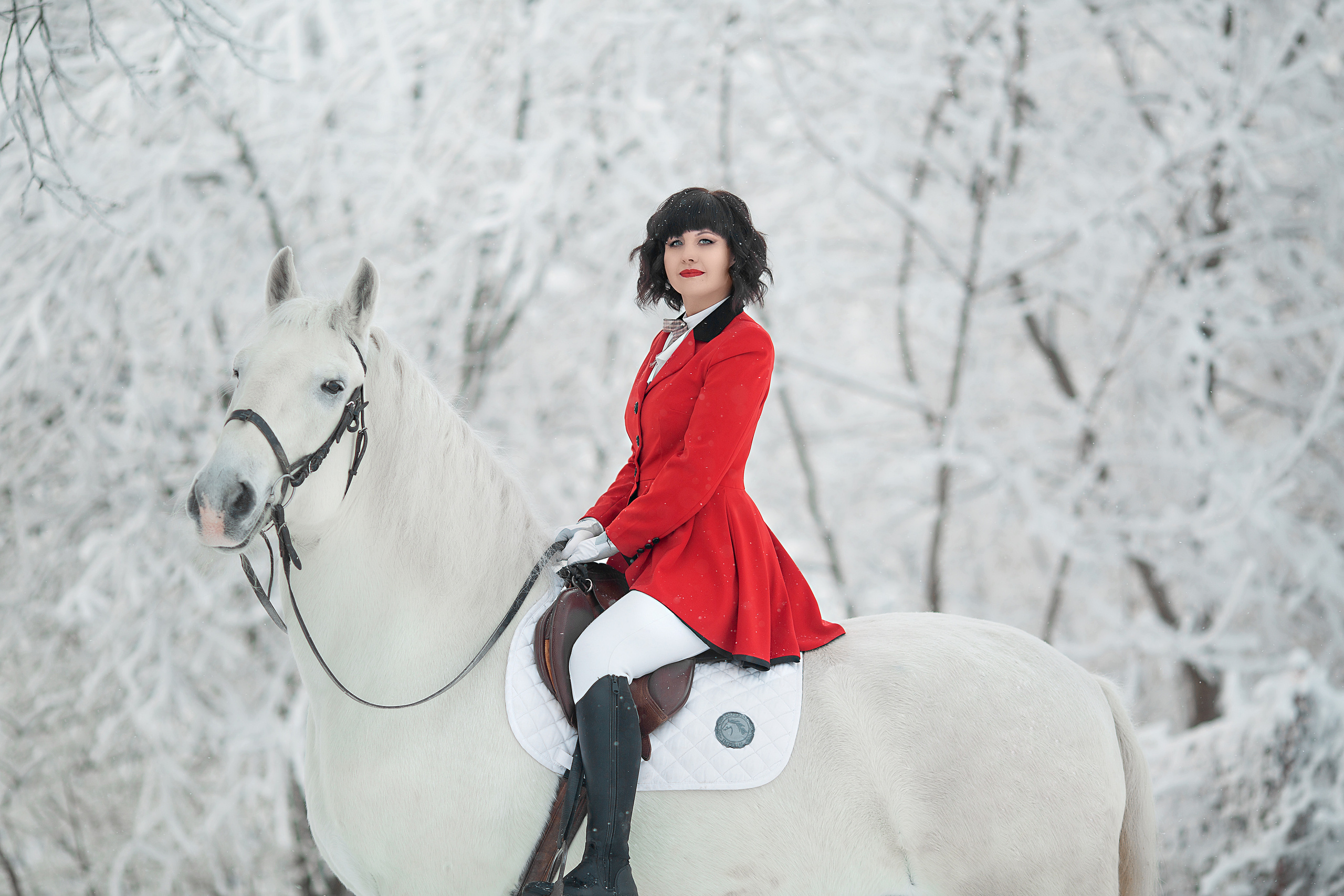 Фотосессия Алёны и Воробушка 03.12.22. Фотосессия с лошадьми в Нижнем Новгороде