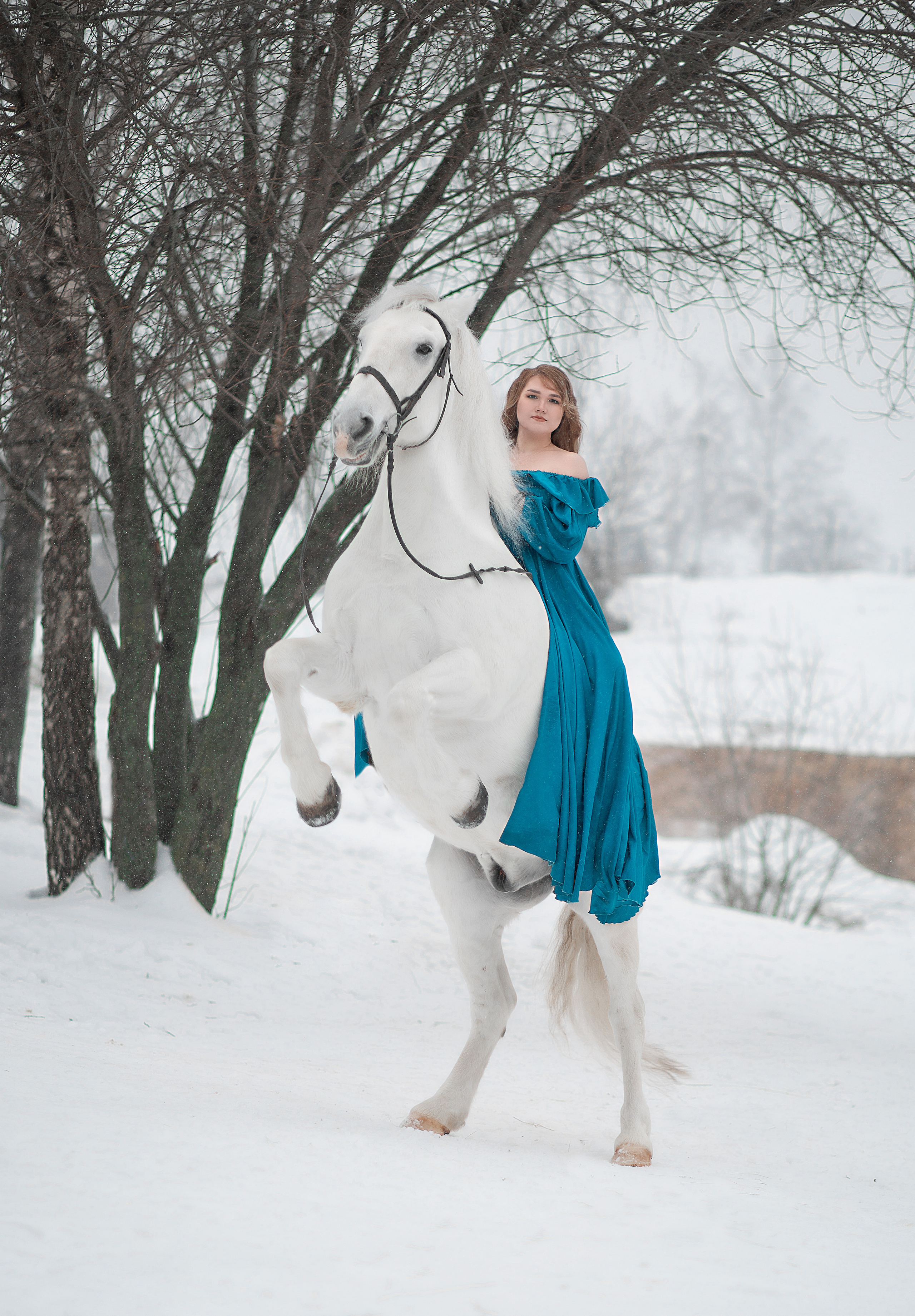 Ольга и Воробей фотодень 25.12.22. Фотосессия с лошадьми в Нижнем Новгороде