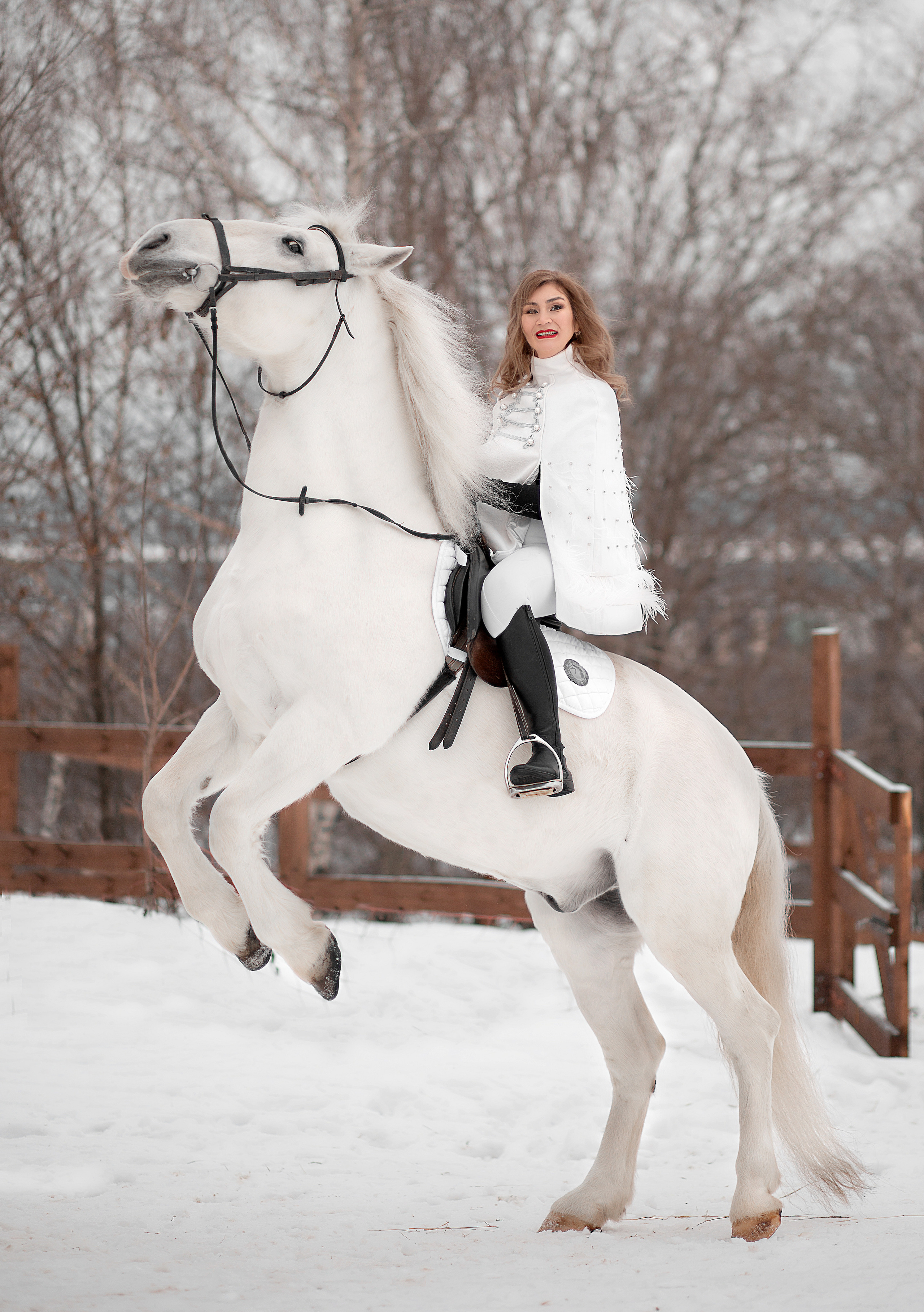 Альбина и Воробей фотодень 25.12.22. Фотосессия с лошадьми в Нижнем Новгороде