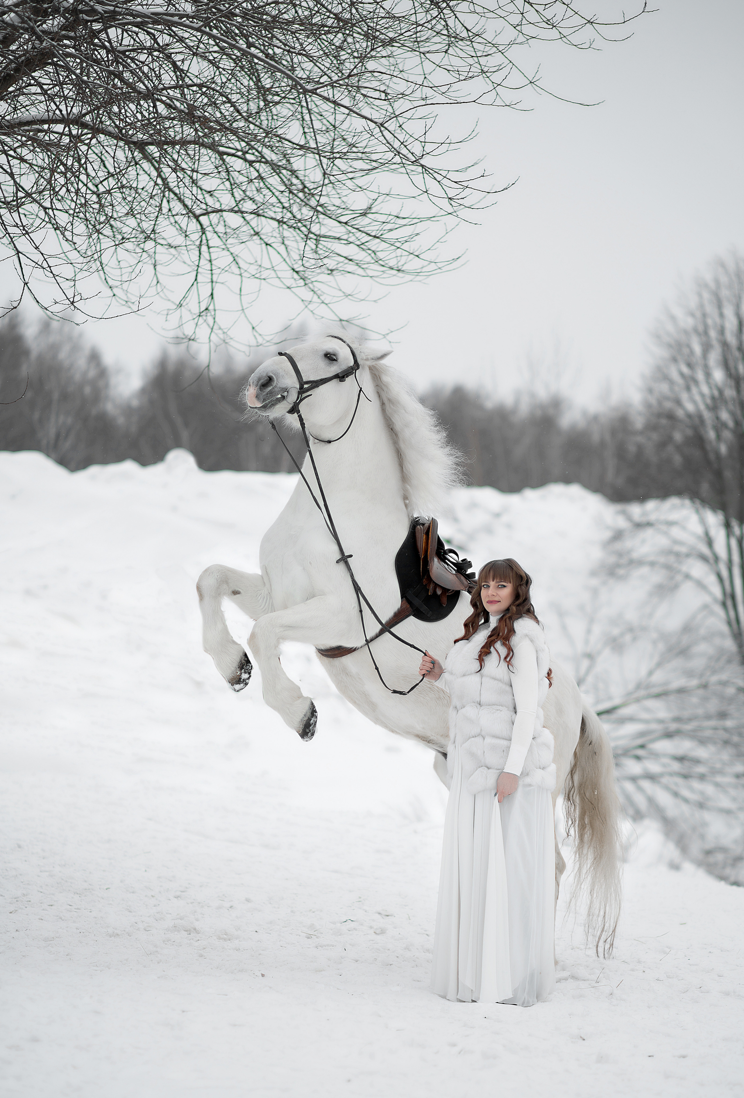 Фотосессия Светы и Воробушка. Фотосессия с лошадьми в Нижнем Новгороде