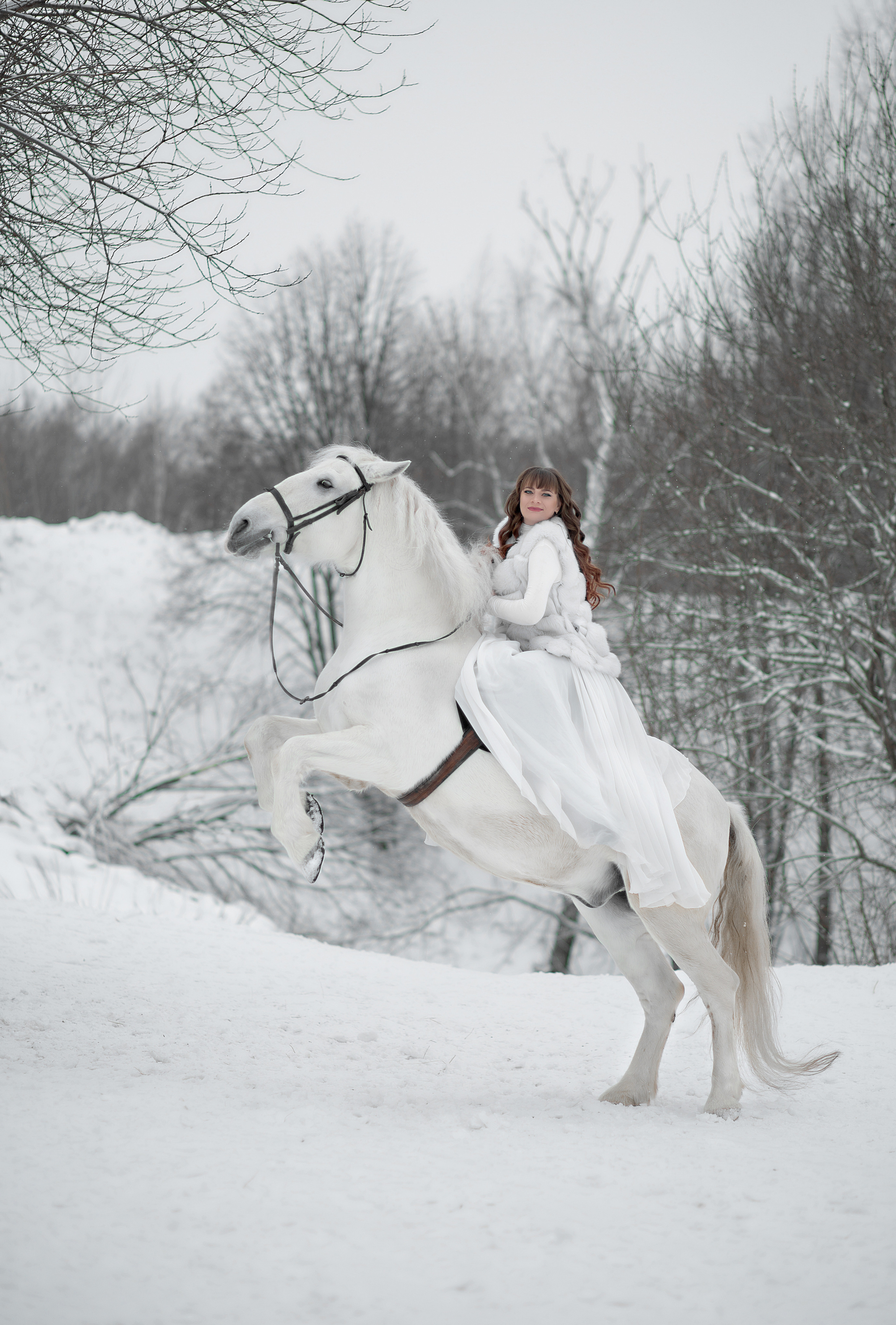 Фотосессия Светы и Воробушка. Фотосессия с лошадьми в Нижнем Новгороде