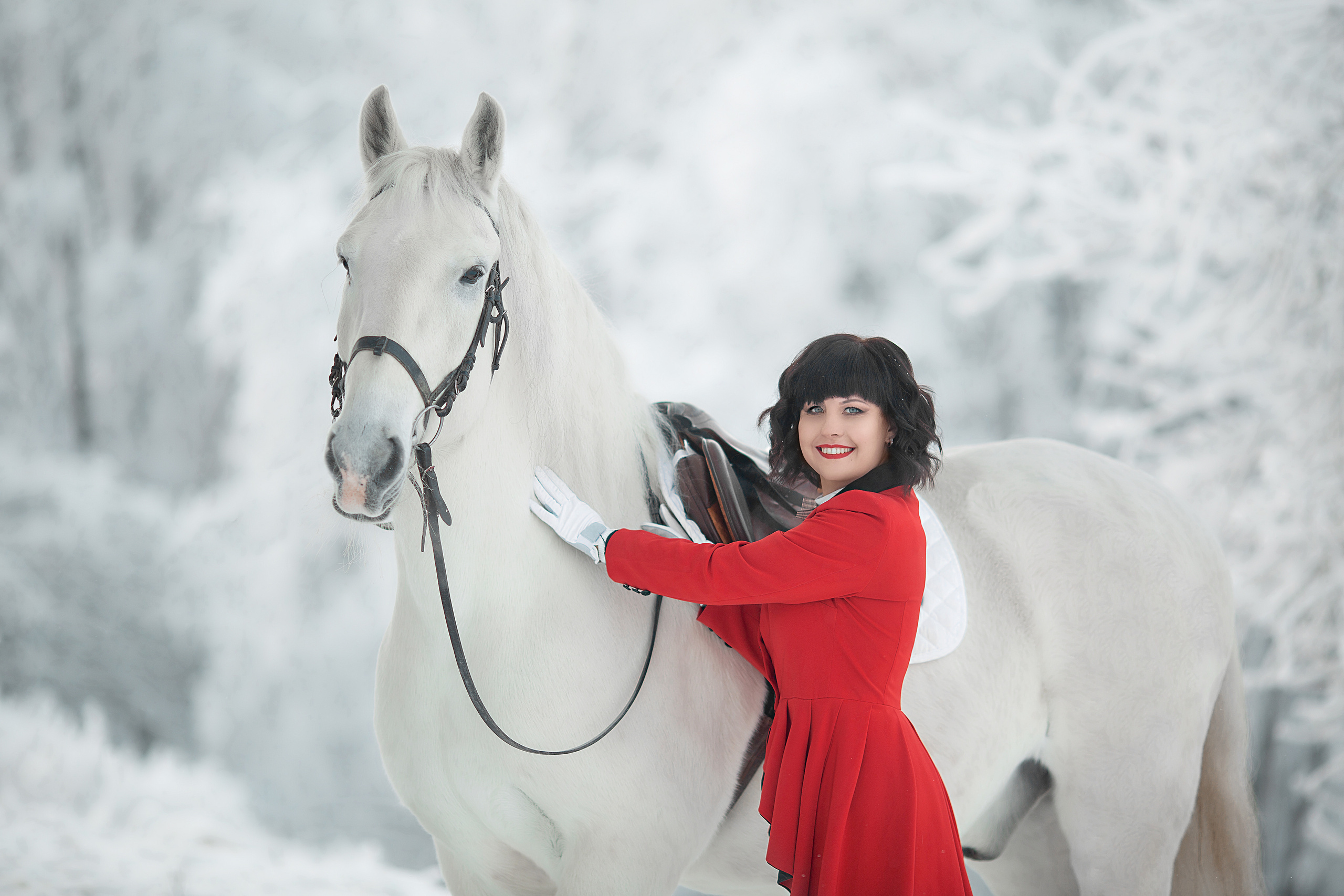 Фотосессия Алёны и Воробушка 03.12.22. Фотосессия с лошадьми в Нижнем Новгороде