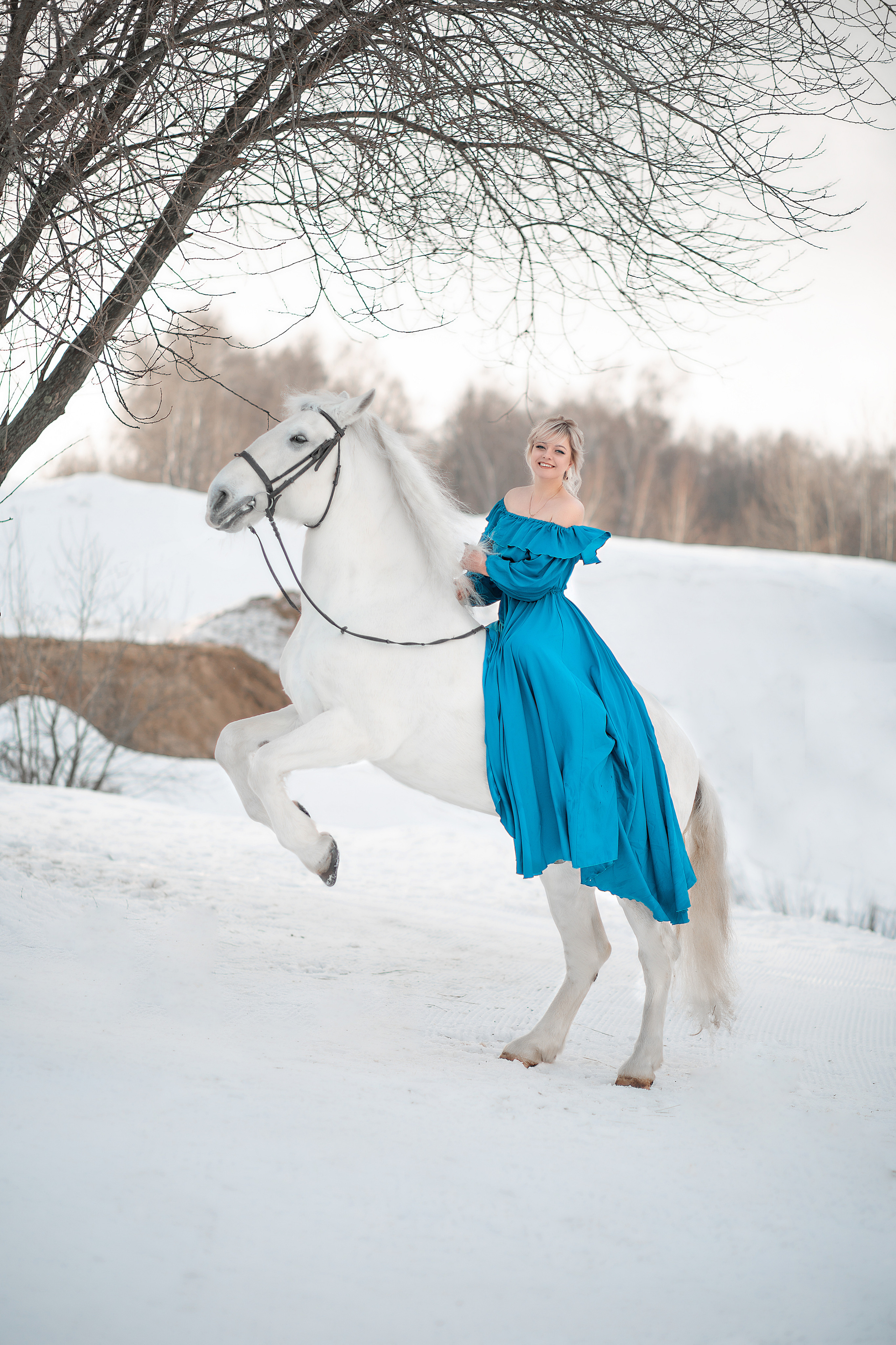 Эльмира и Воробей фотодень 25.12.22. Фотосессия с лошадьми в Нижнем Новгороде