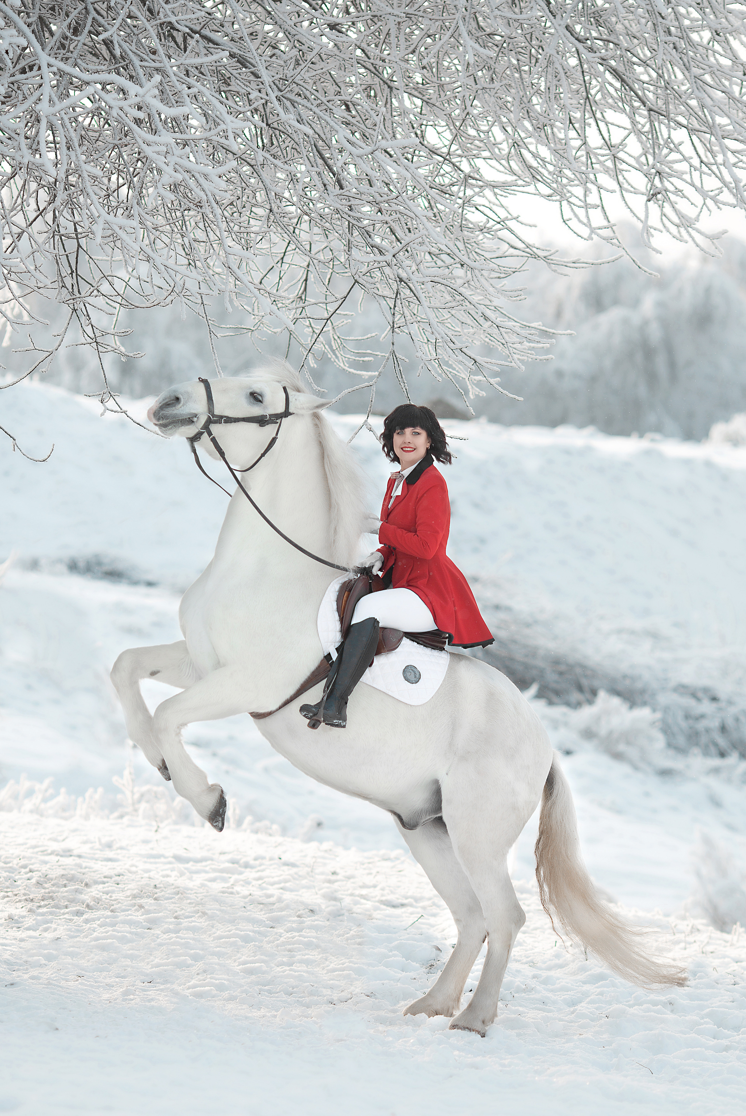 Фотосессия Алёны и Воробушка 03.12.22. Фотосессия с лошадьми в Нижнем Новгороде