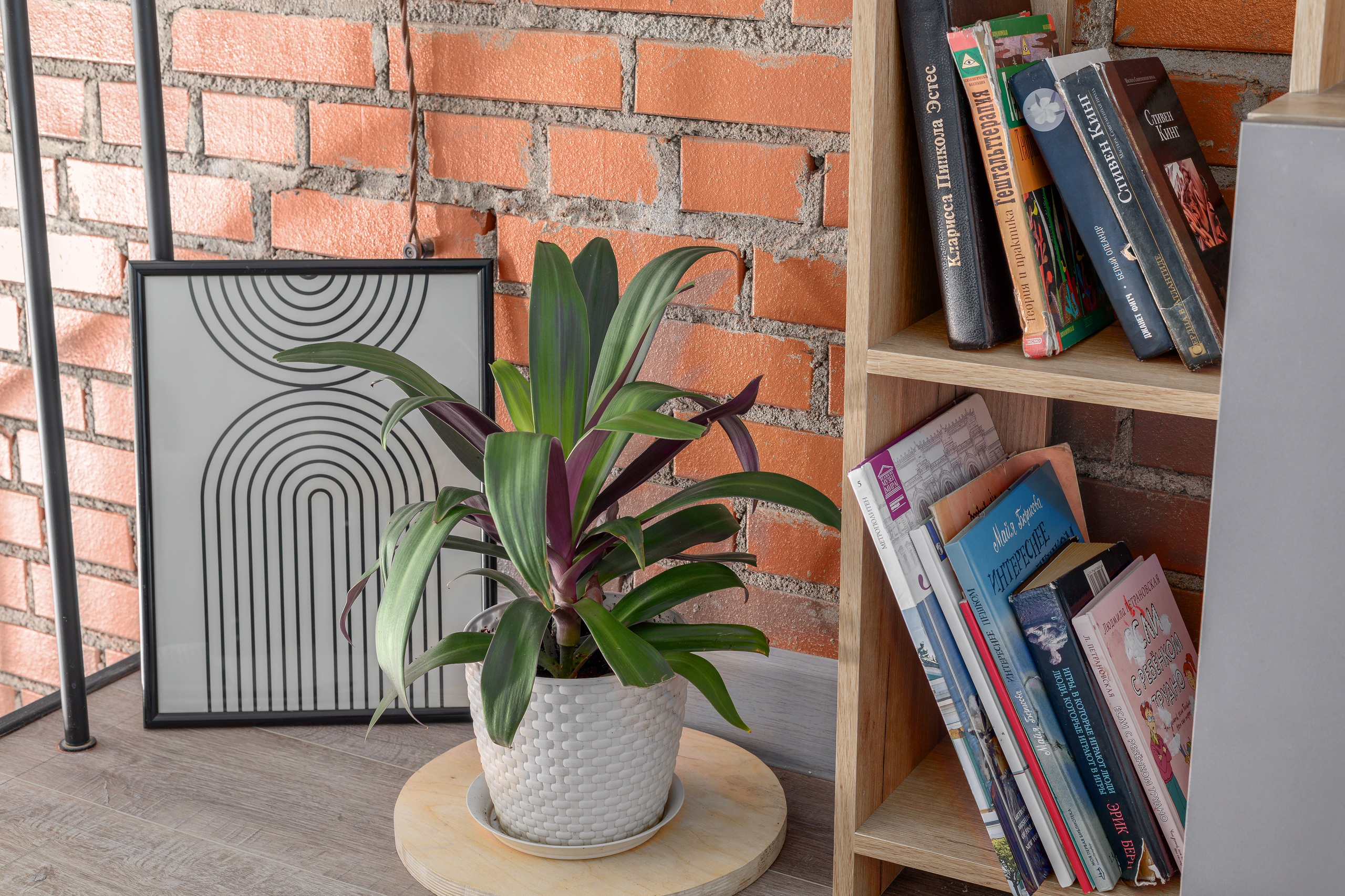 Студия, Полтавская ул