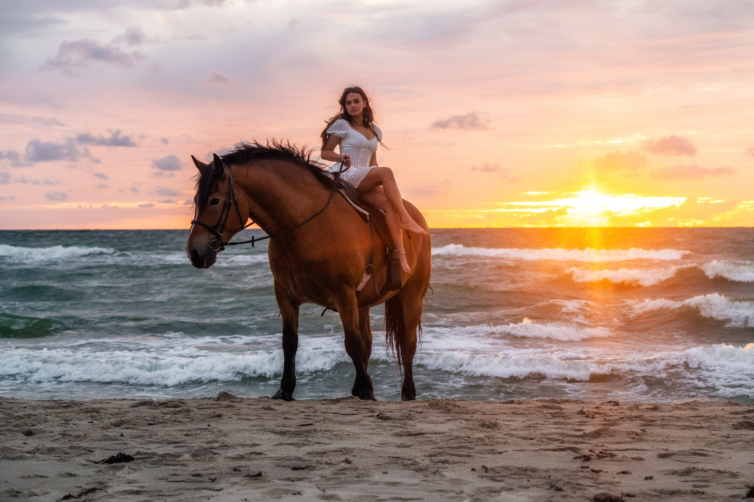 Побережье Балтийского моря. Фотограф с лошадьми в Калининграде Татьяна Ларина