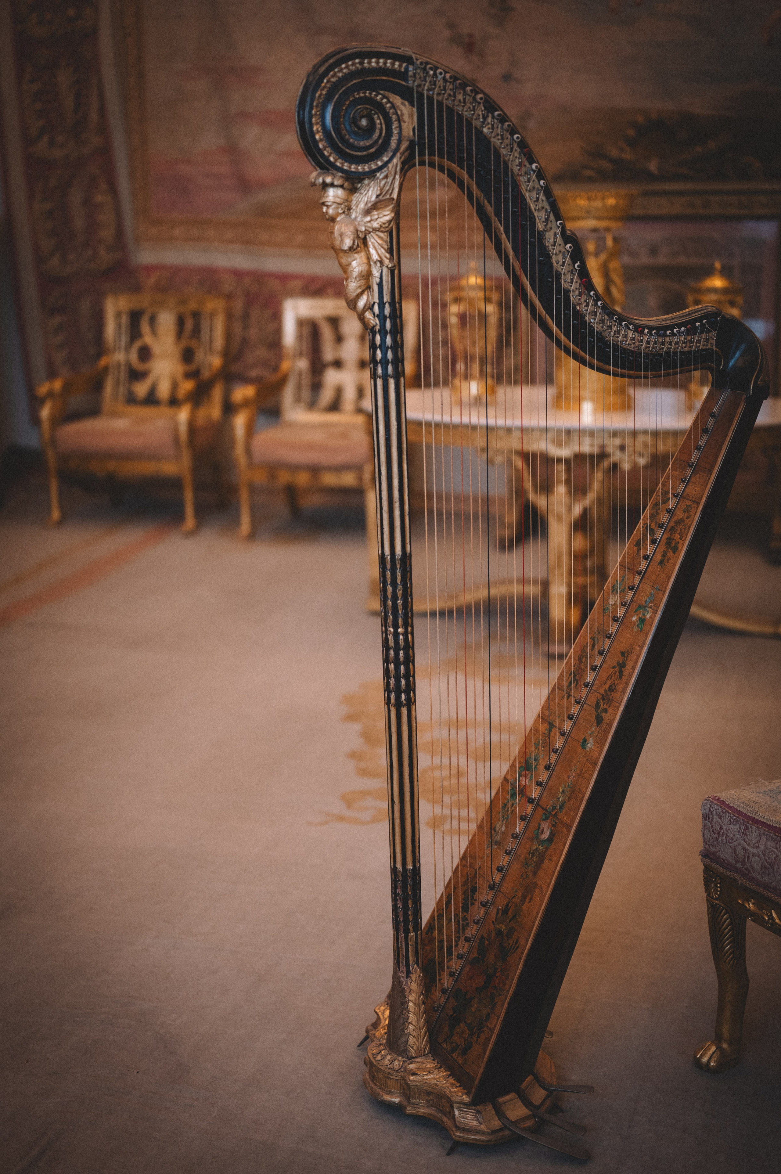 Мир вокруг. Фотограф Анна Темнова. Пенза