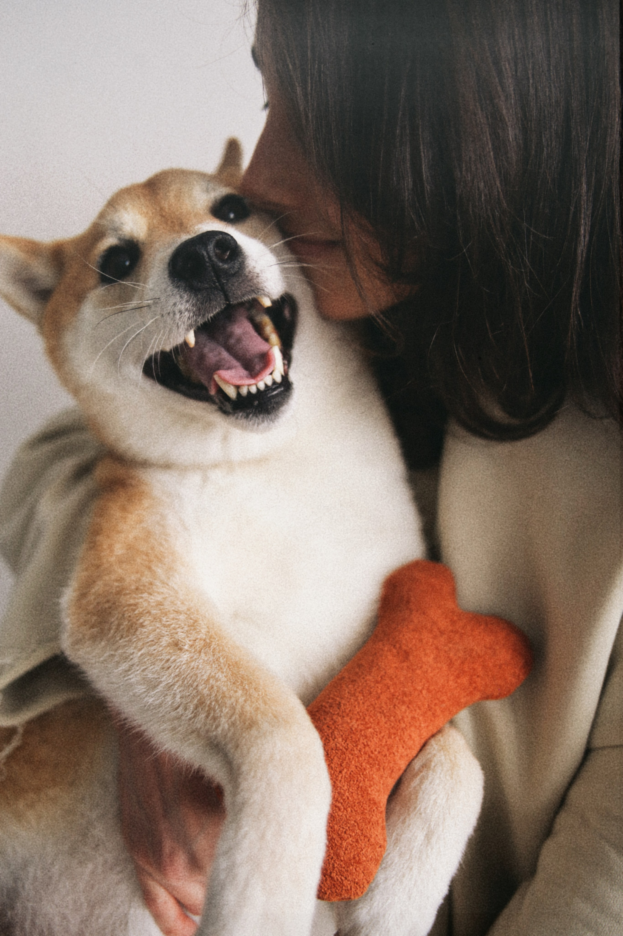 С собаками. Фотограф в Серпухове и Тарусе Ксения Царёва
