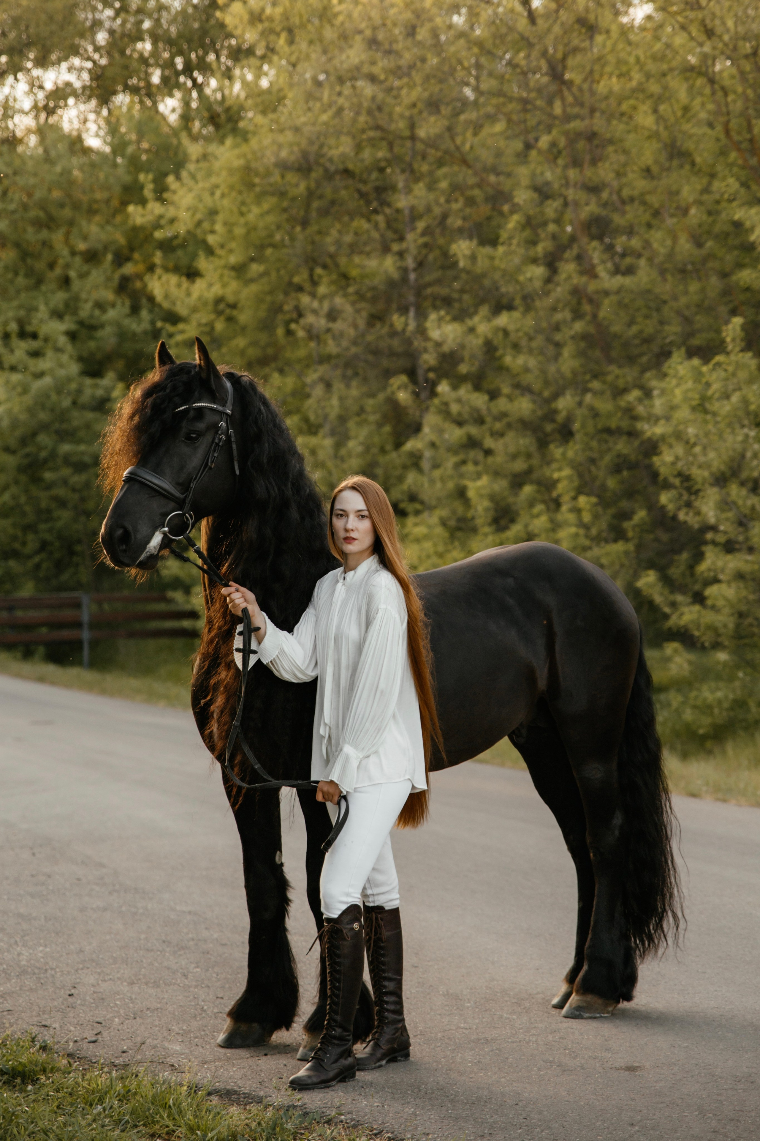 Съемка с лошадью фризской породы. Семейный и конный фотограф в Краснодарском крае и Адыгее
