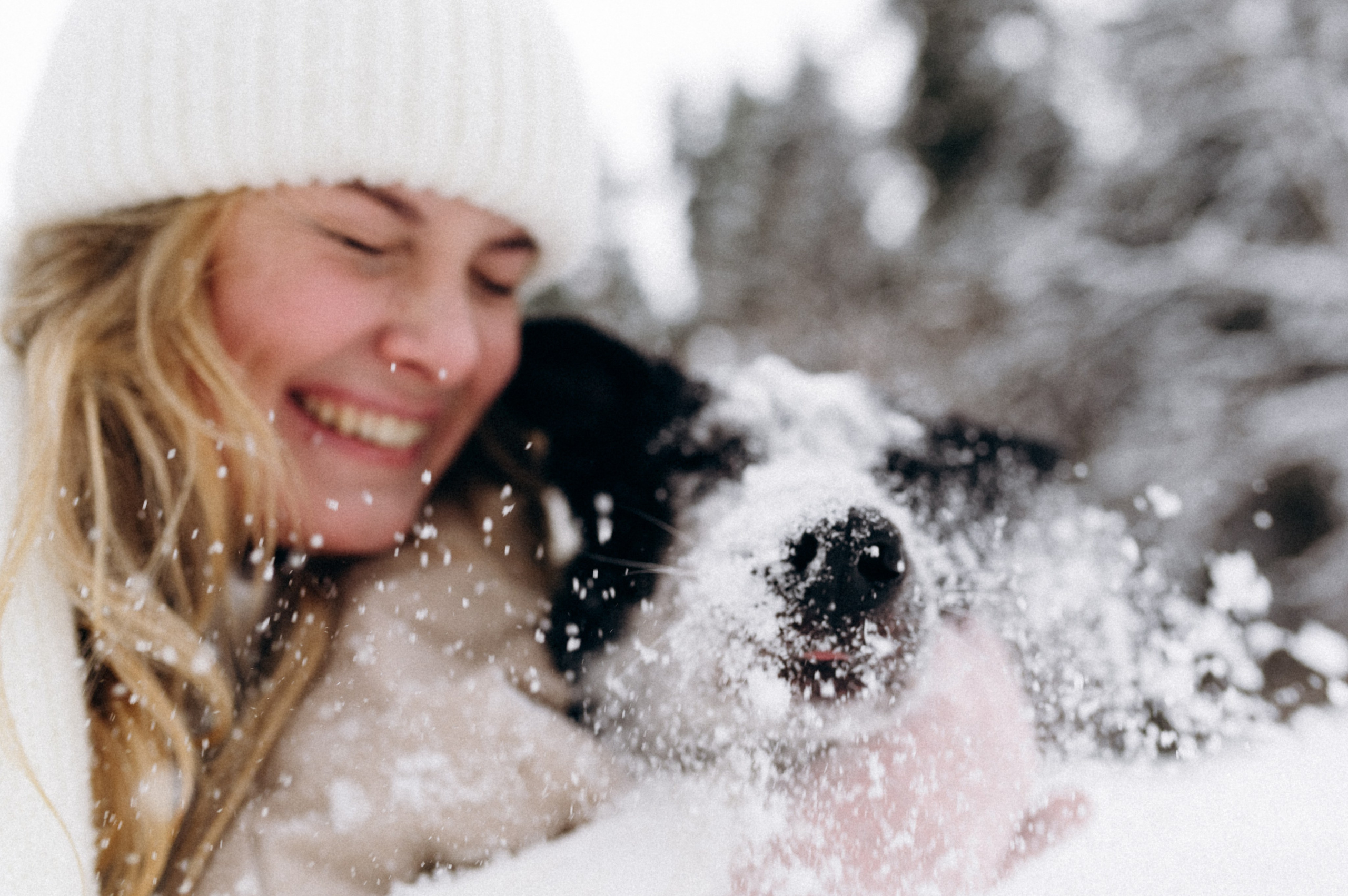 Аня и Милан. Фотограф анималист в Москве Ольга Агушева