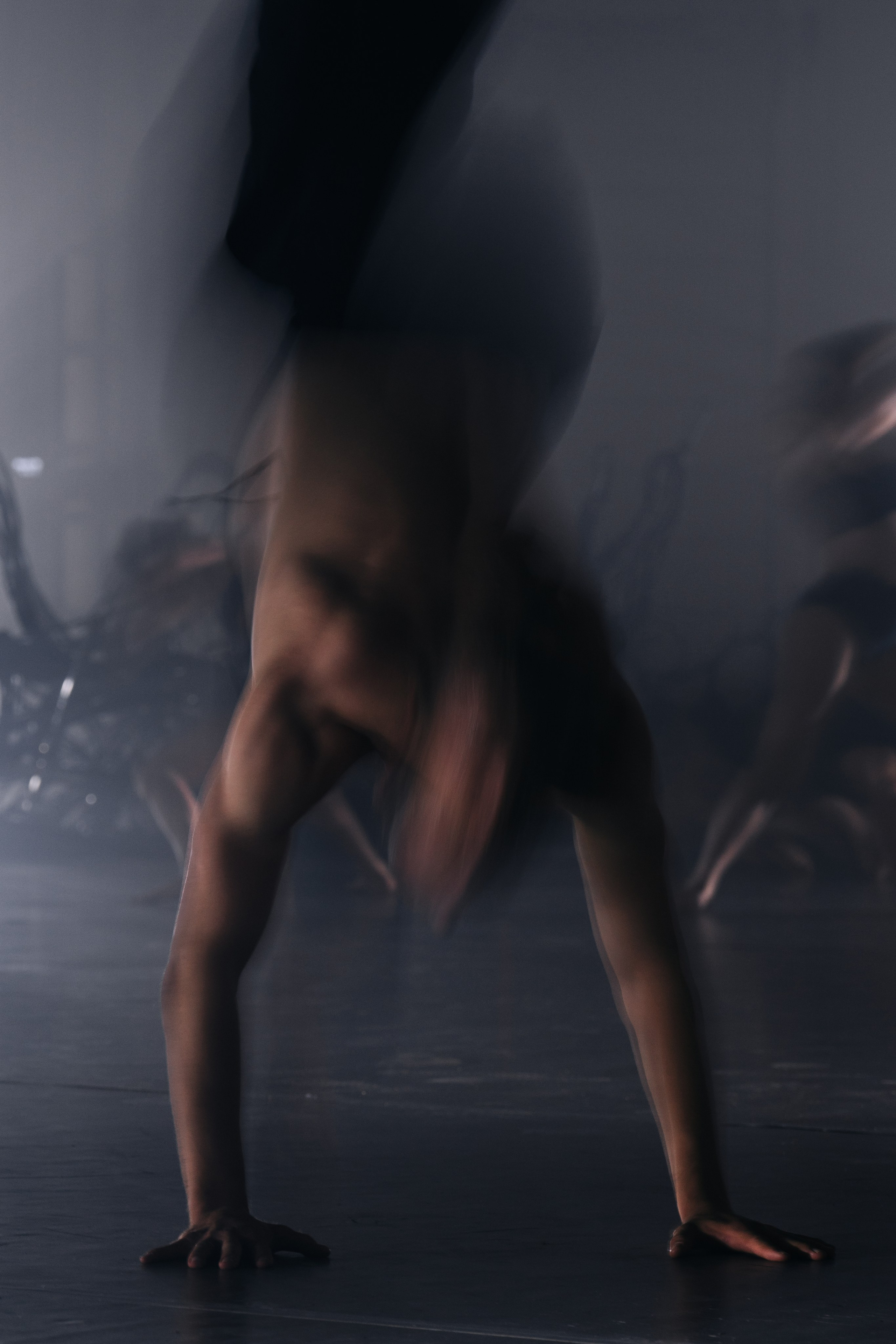 PERFORMA, The Hour of the Horse. @tomrus: Рустам Шагиморданов — фотограф