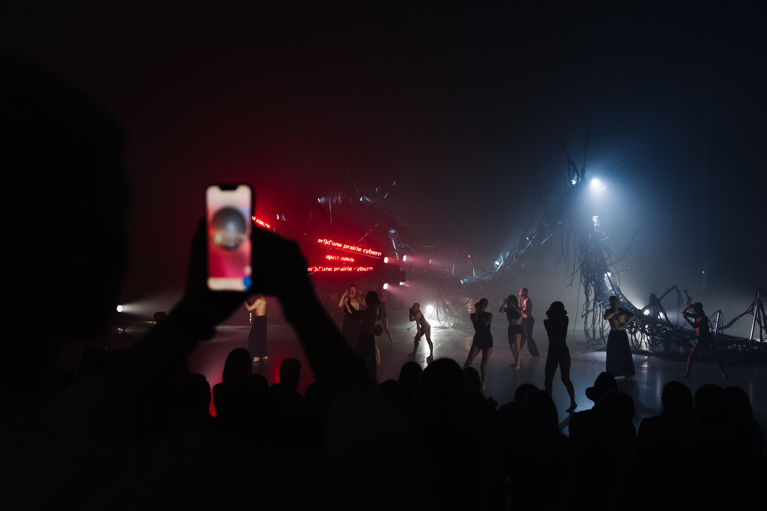 PERFORMA, The Hour of the Horse. @tomrus: Рустам Шагиморданов — фотограф