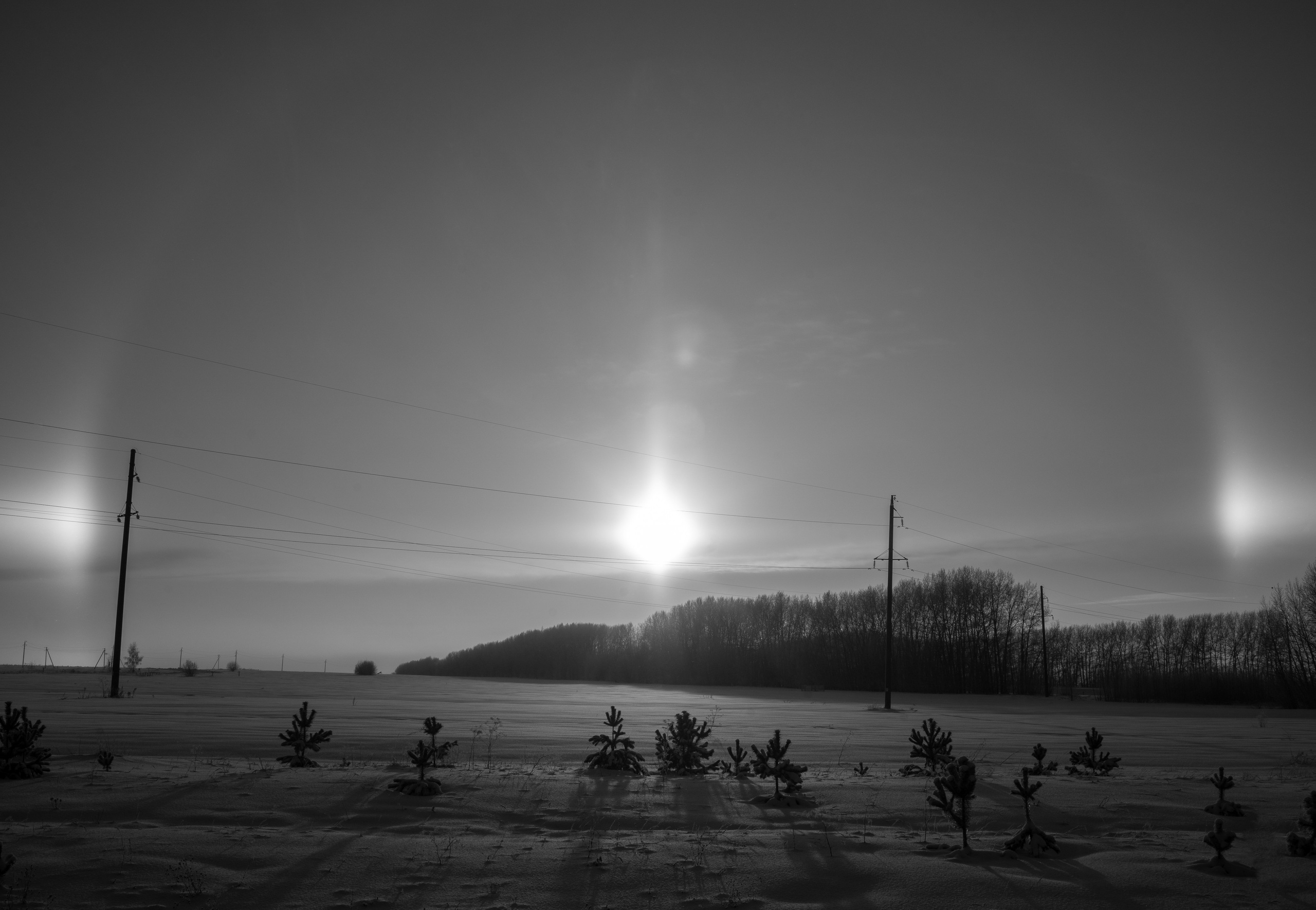 ЧЕРНО-БЕЛЫЕ ФОТОГРАФИИ. Никита Аничкин фото и видео оператор из России