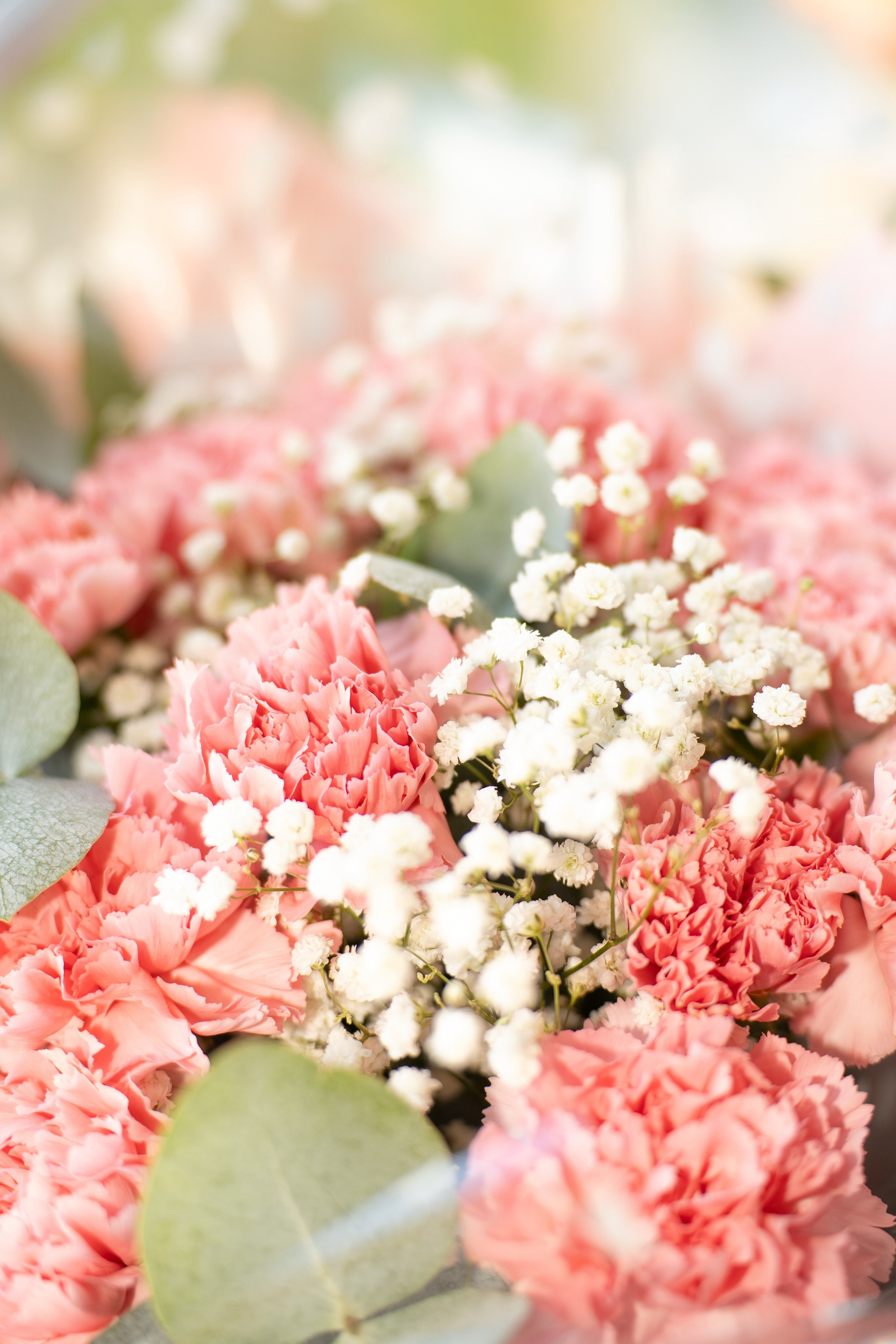 Y&V. Vladislav Blinov photographer