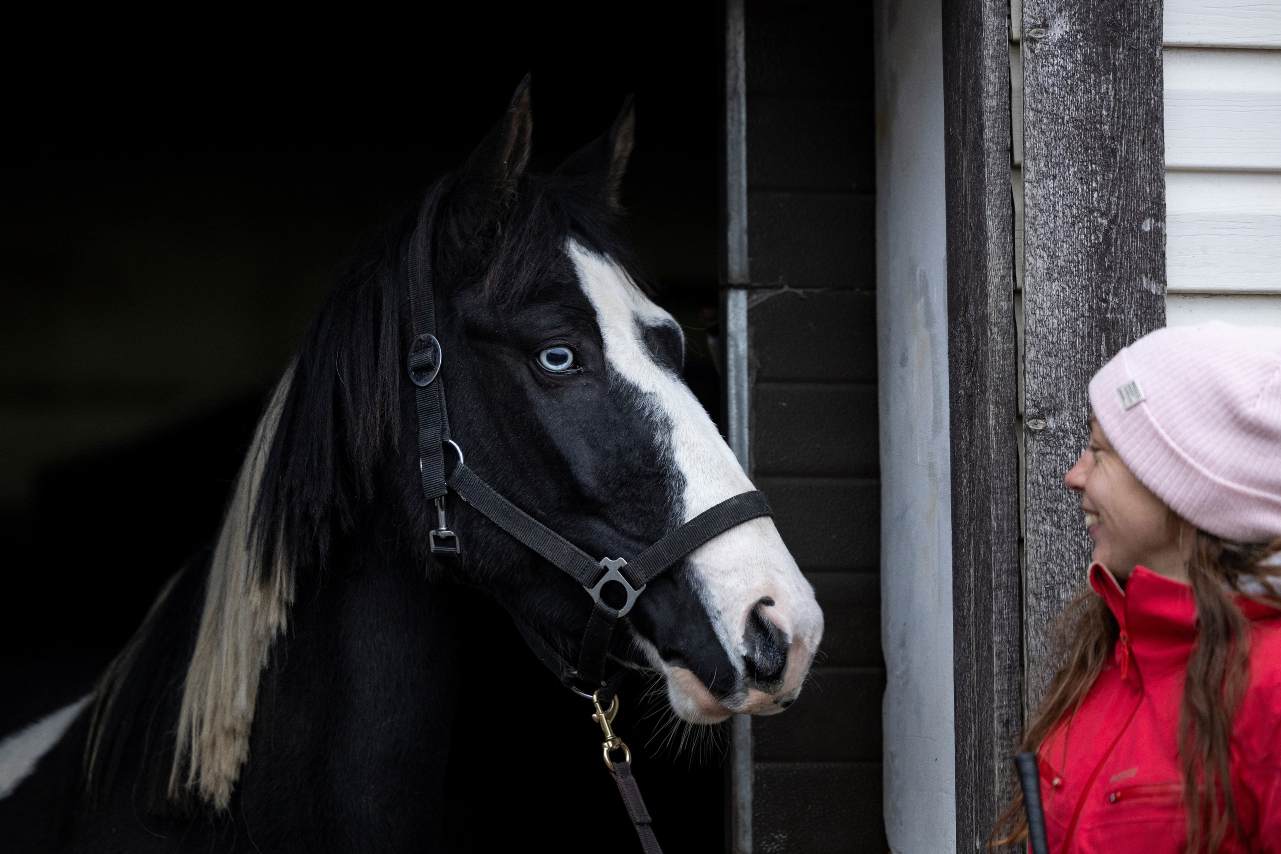 Дракарис и Кейси. Фотограф-анималист Анна Маринич