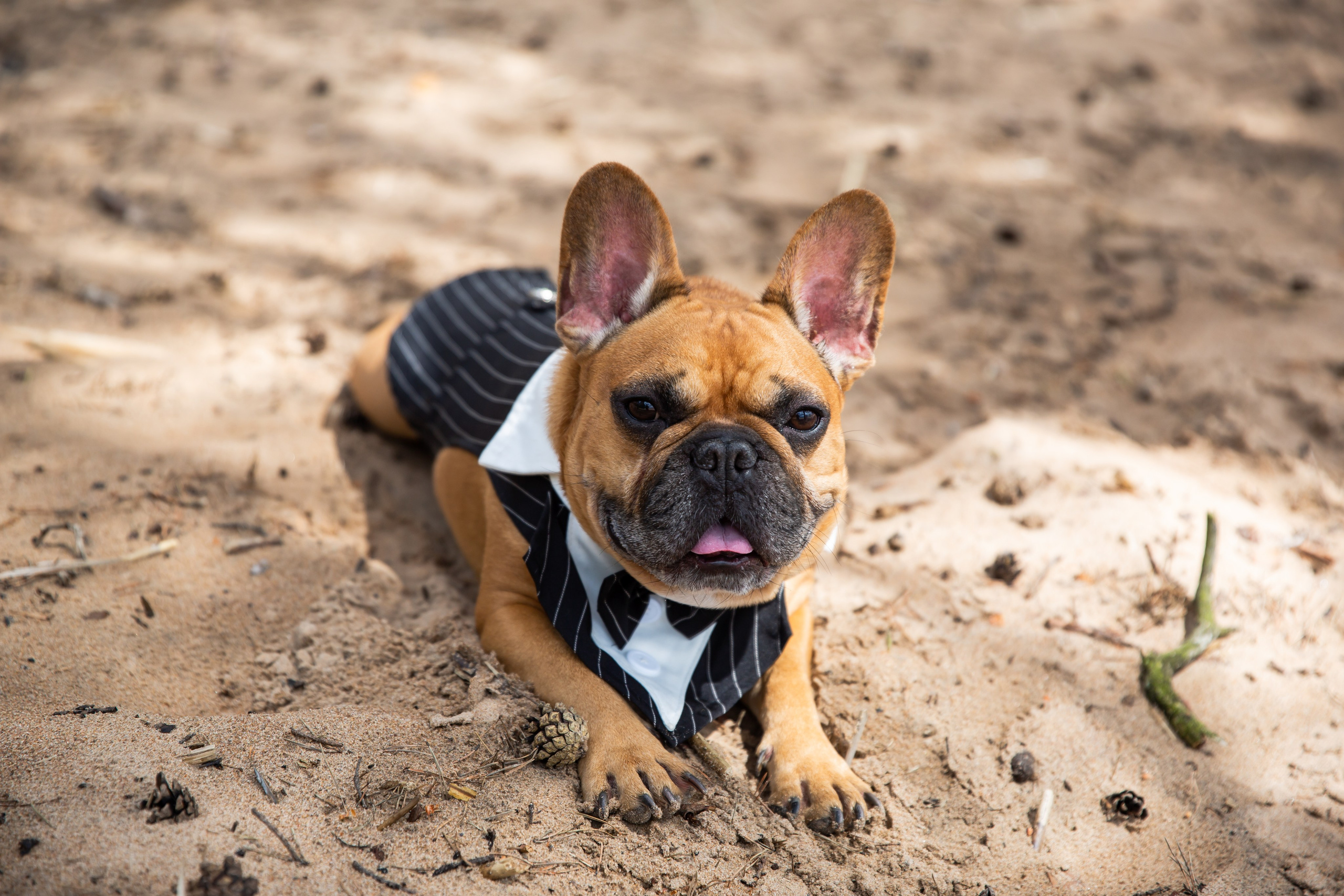 ПРОГУЛКА. Свадебный фотограф Санкт-Петербург Катерина Ширяева