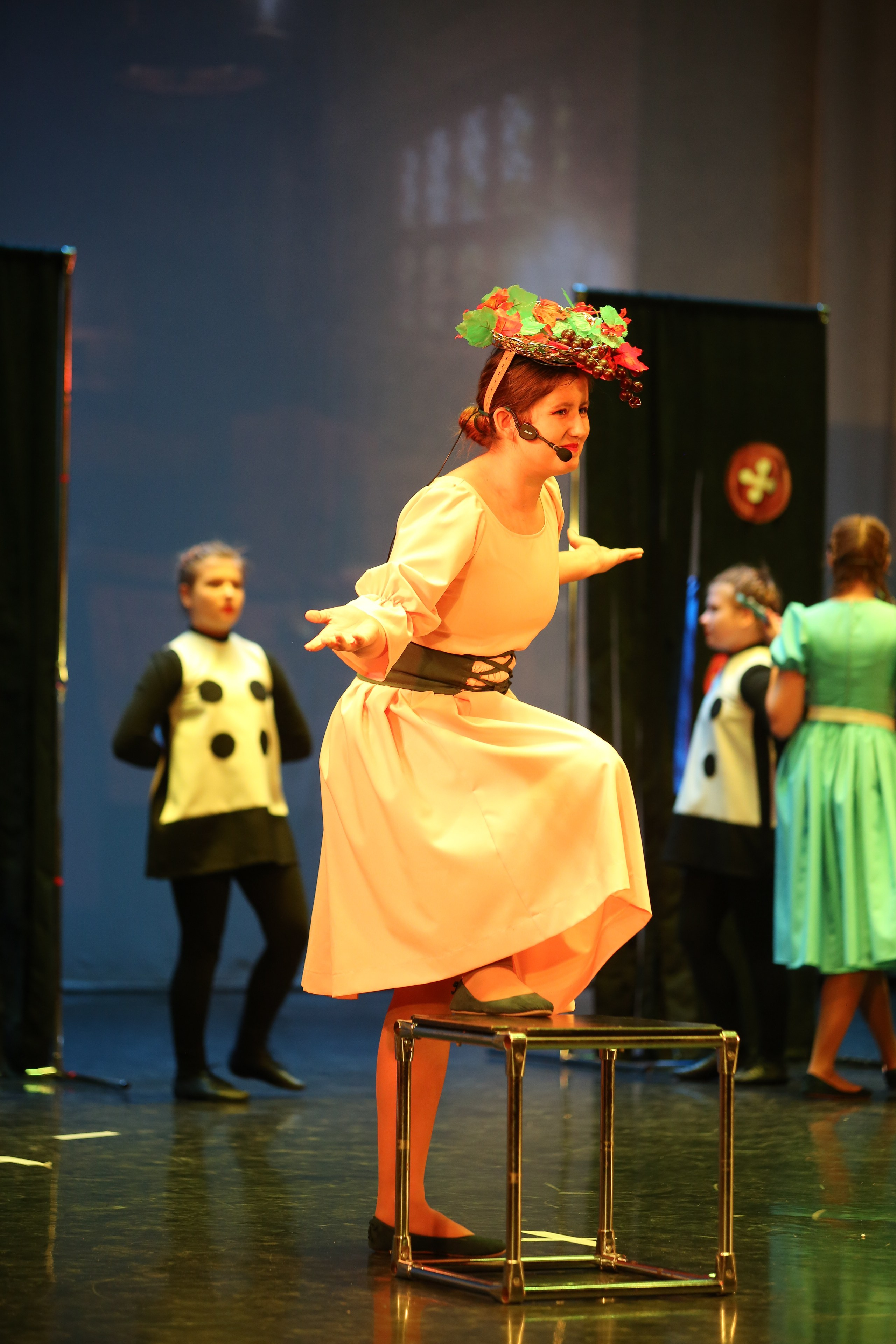 ТС ФАНТАЗИЯ — БЕНЕФИС 25 ЛЕТ. Профессиональный фотограф в Мценске и Орловской области