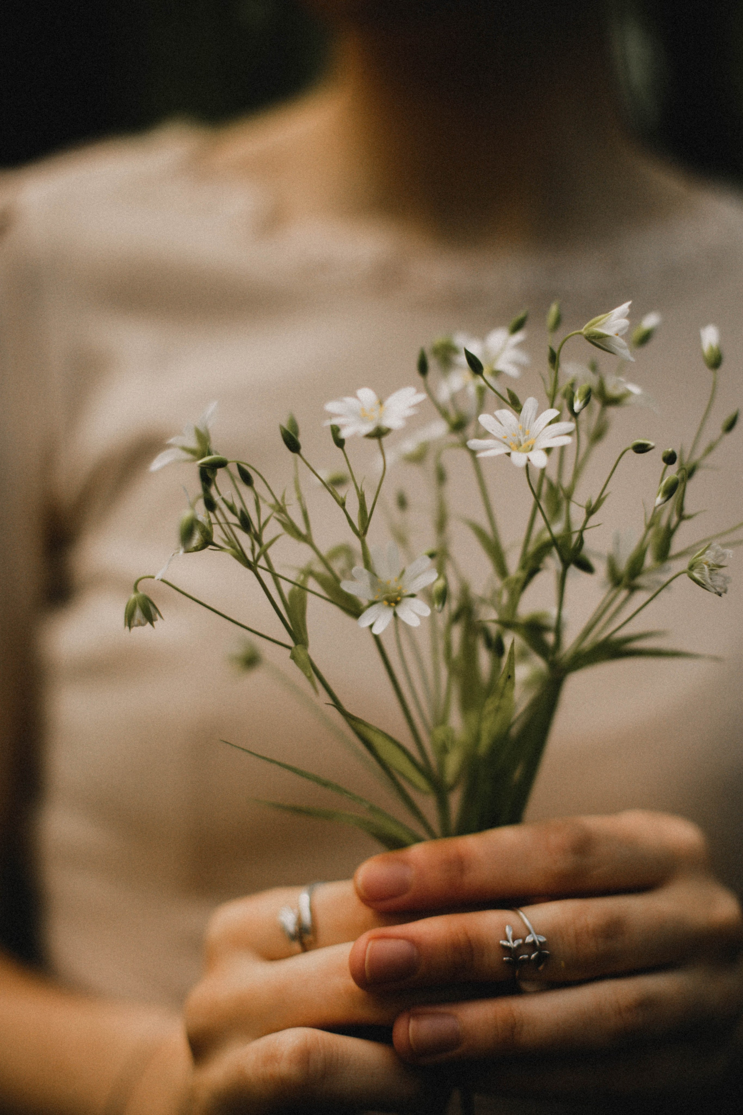 Надин Свети. Фотограф в Нижнем Новгороде