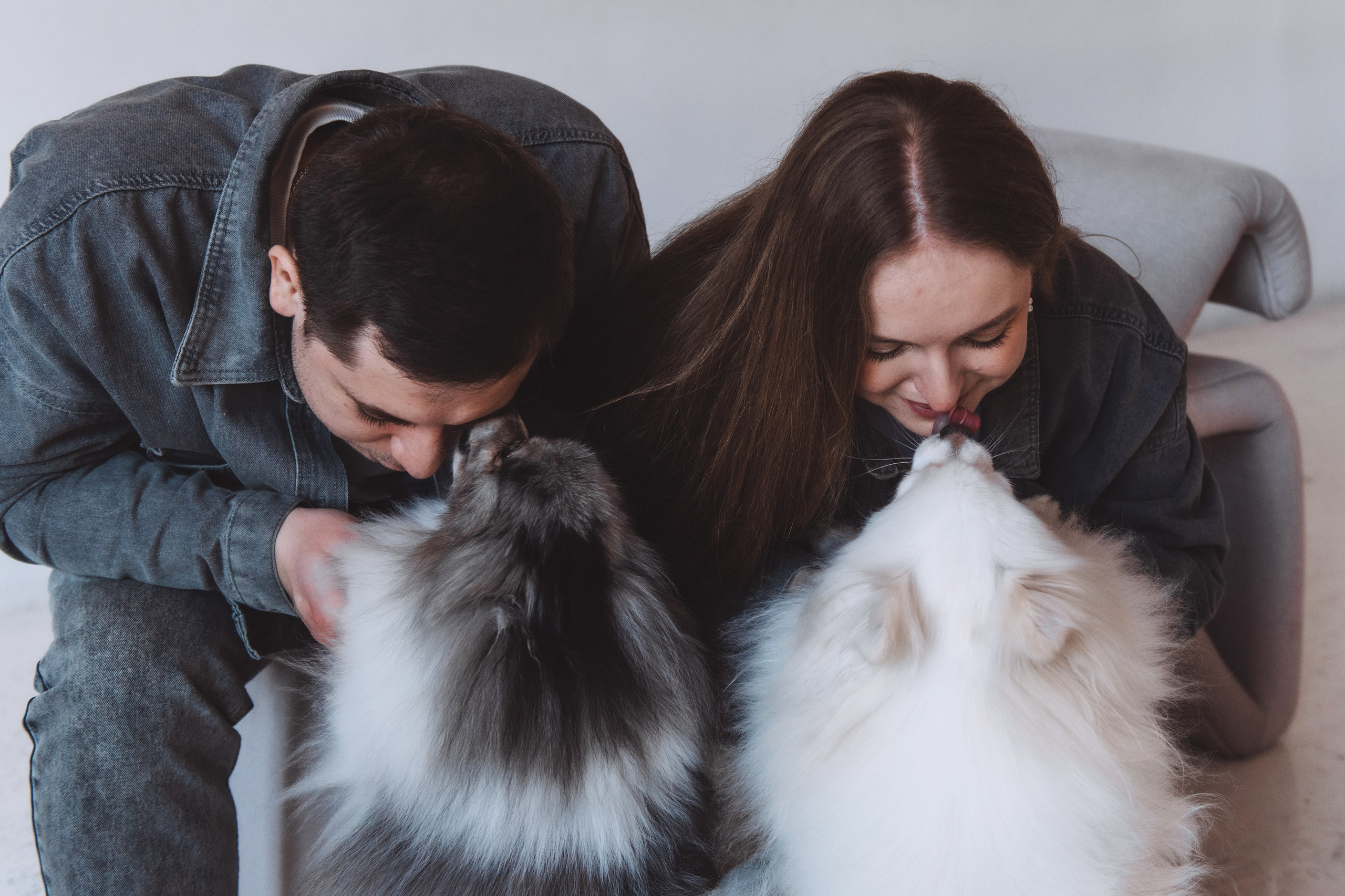 Снежана и Илья. Свадебный и семейный фотограф в Санкт-Петербурге — Мария Черепанова