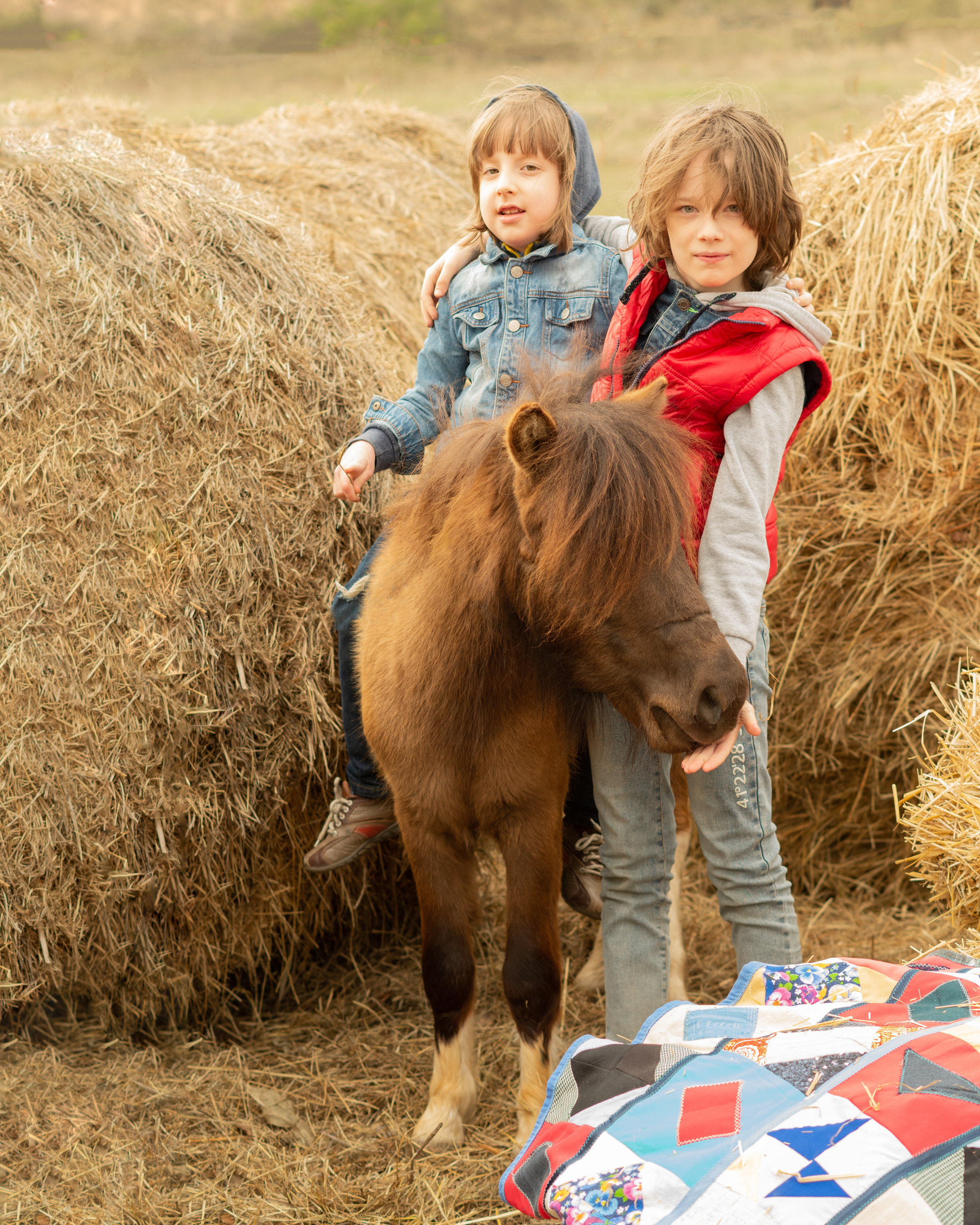 Семейная фотосессия. Фотограф Марина Доглядная Челябинск фотосессии с лошадьми, мотоциклами