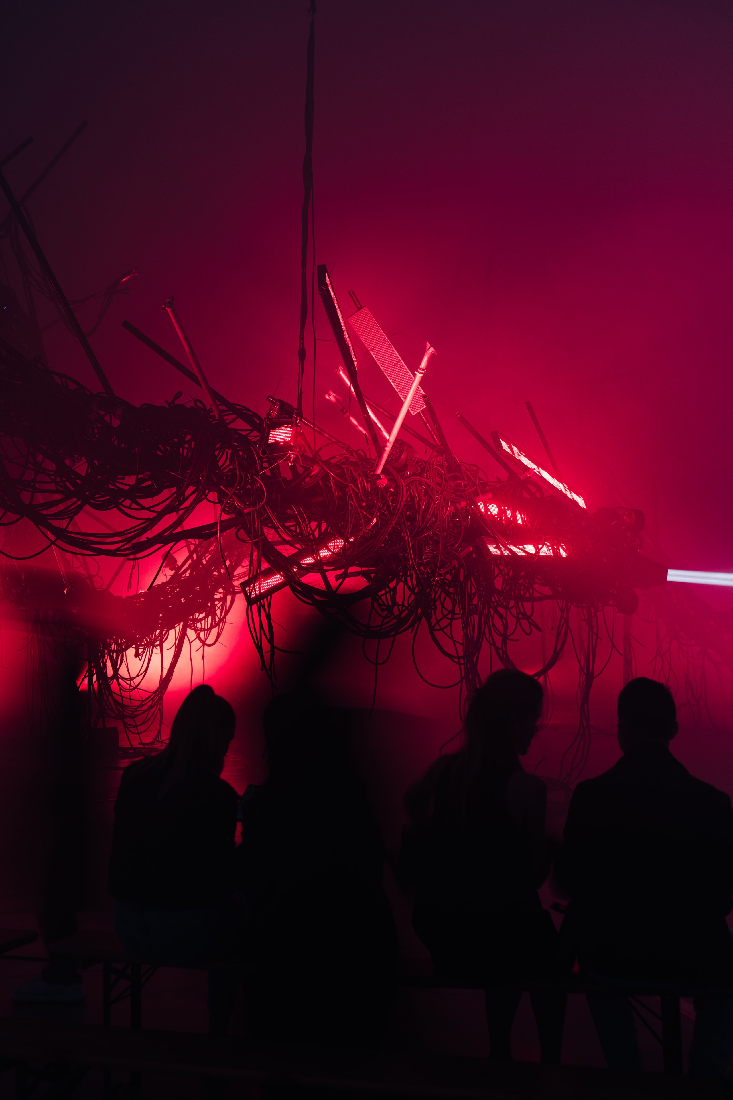 PERFORMA, The Hour of the Horse. @tomrus: Рустам Шагиморданов — фотограф