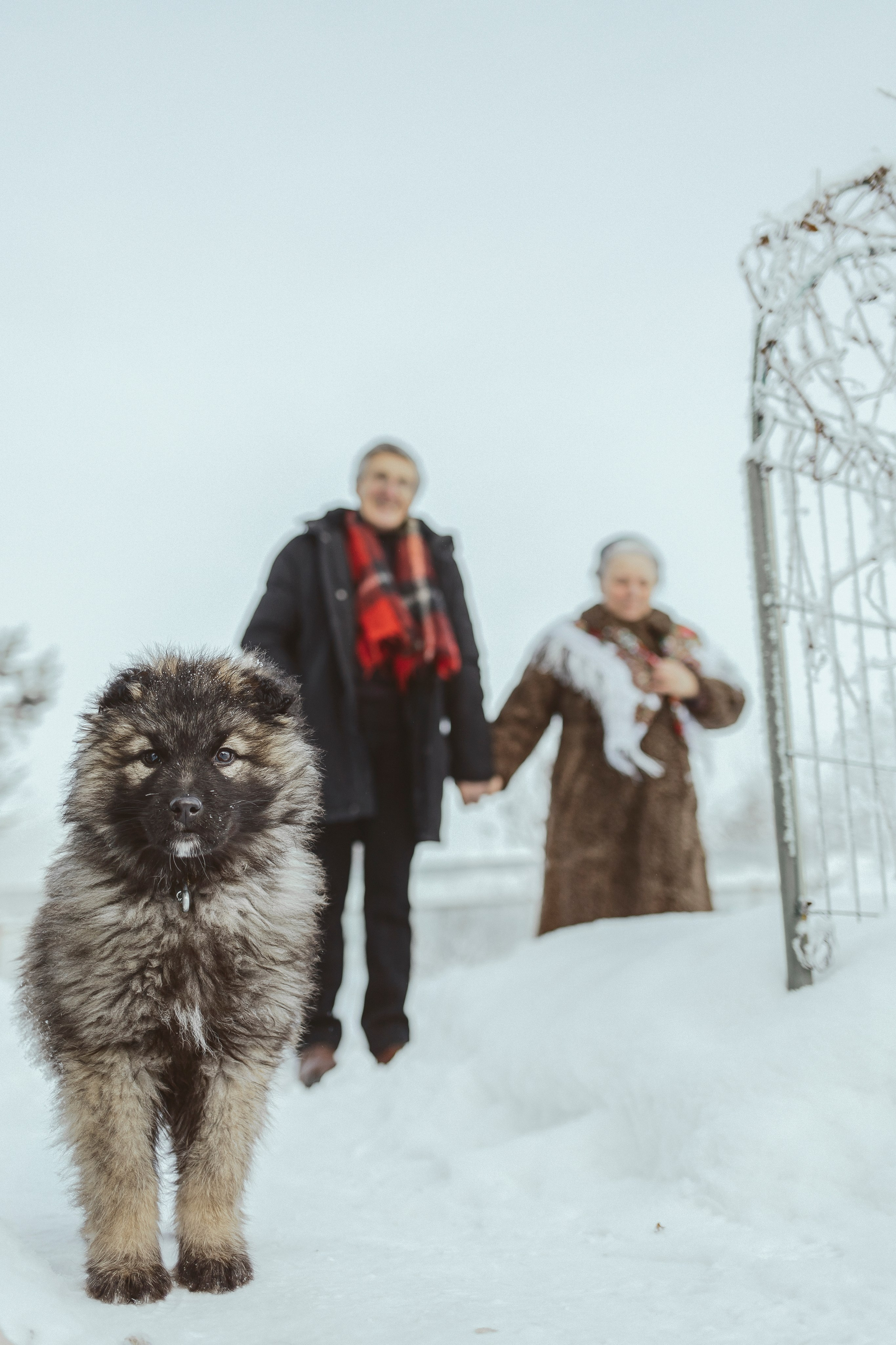 Валентина, Анатолий и Дик. Ульяновка 2023. Фотограф Наталья Шпиллер Санкт-Петербург