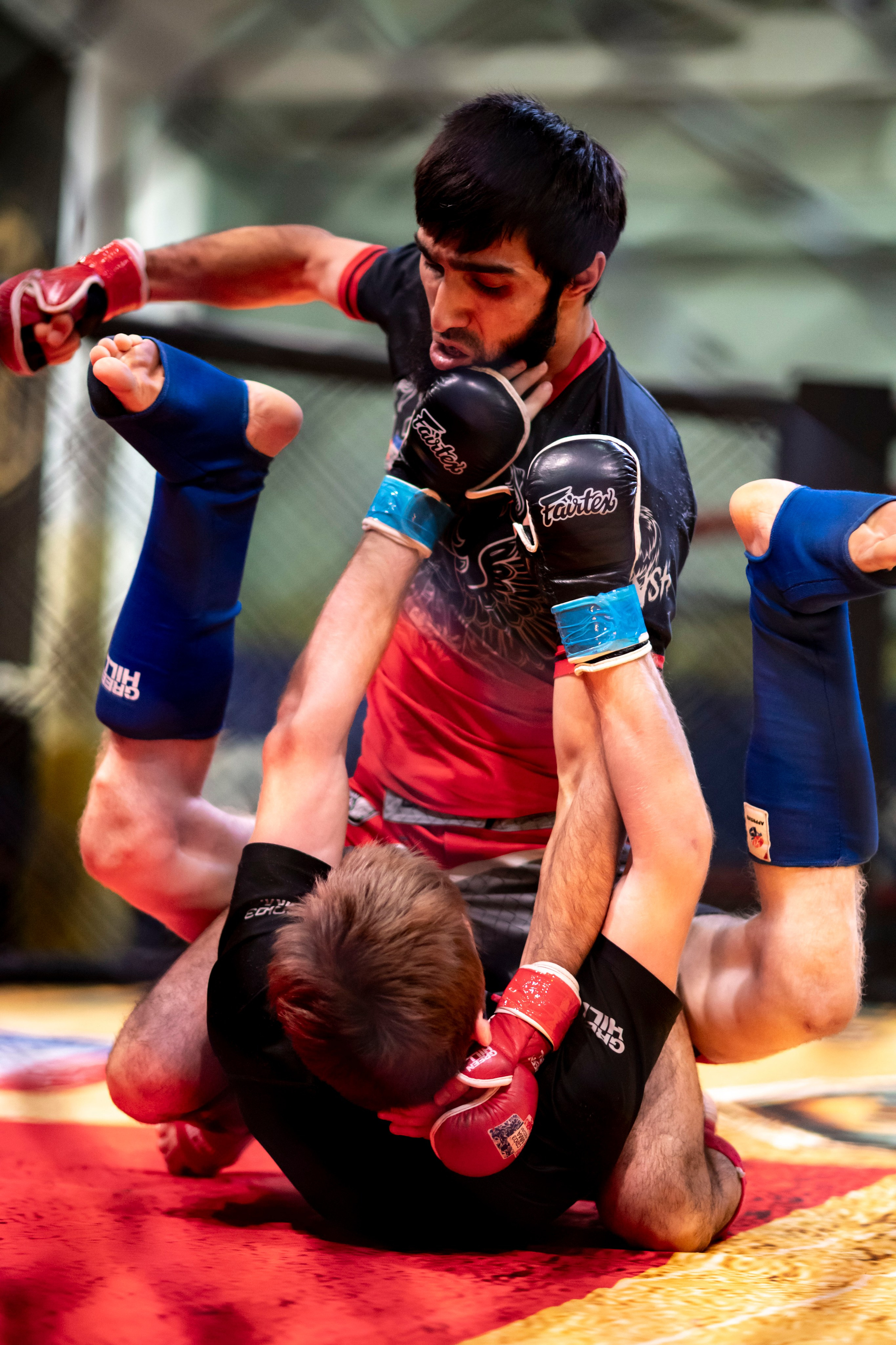 Всероссийский турнир ММА. Новомосковск, ноябрь 2025. Спортивный фотограф в Туле и Тульской области. Файсханова Фото Спорт