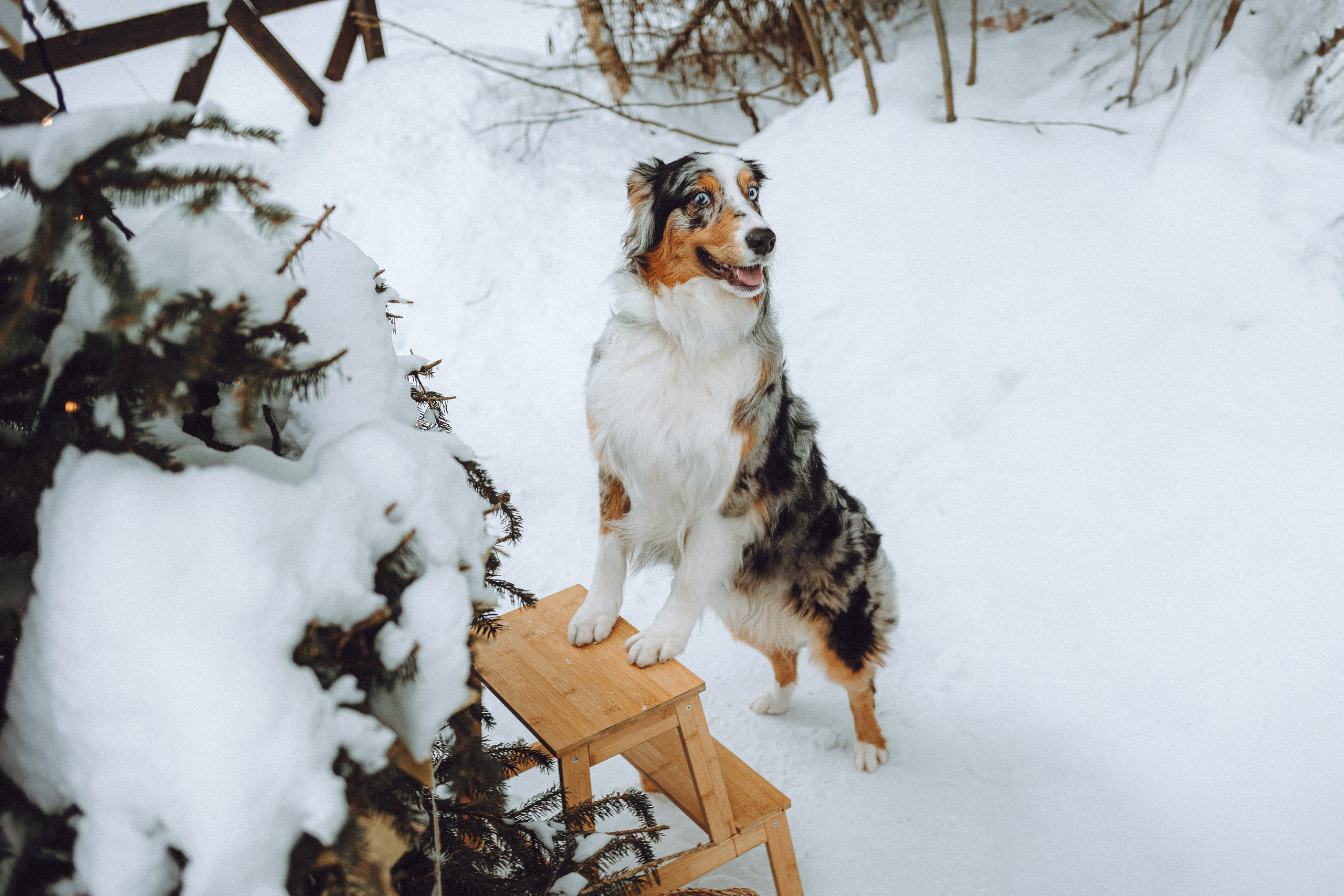 Фаня и ее семья