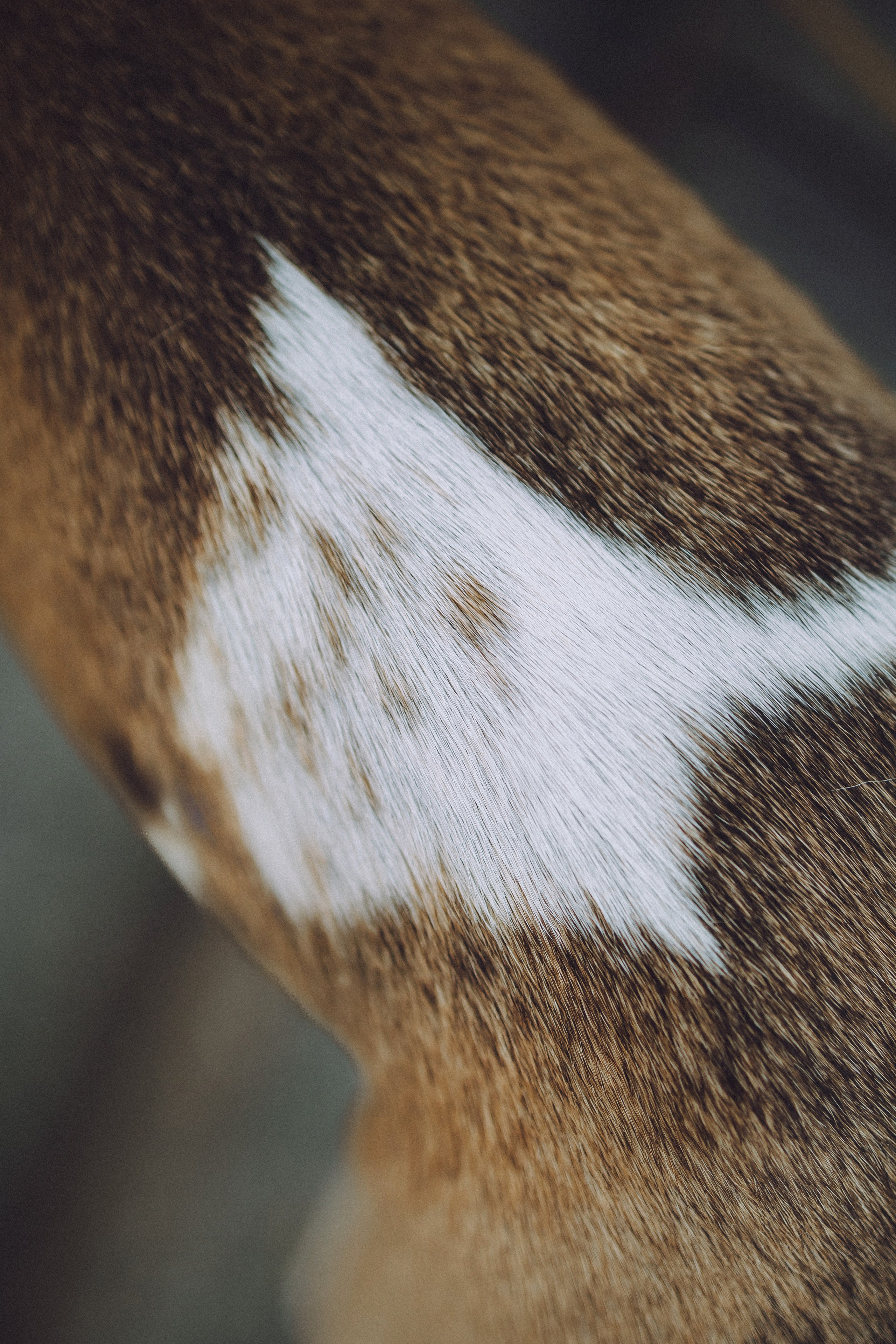 Ирина, Илья и Рик