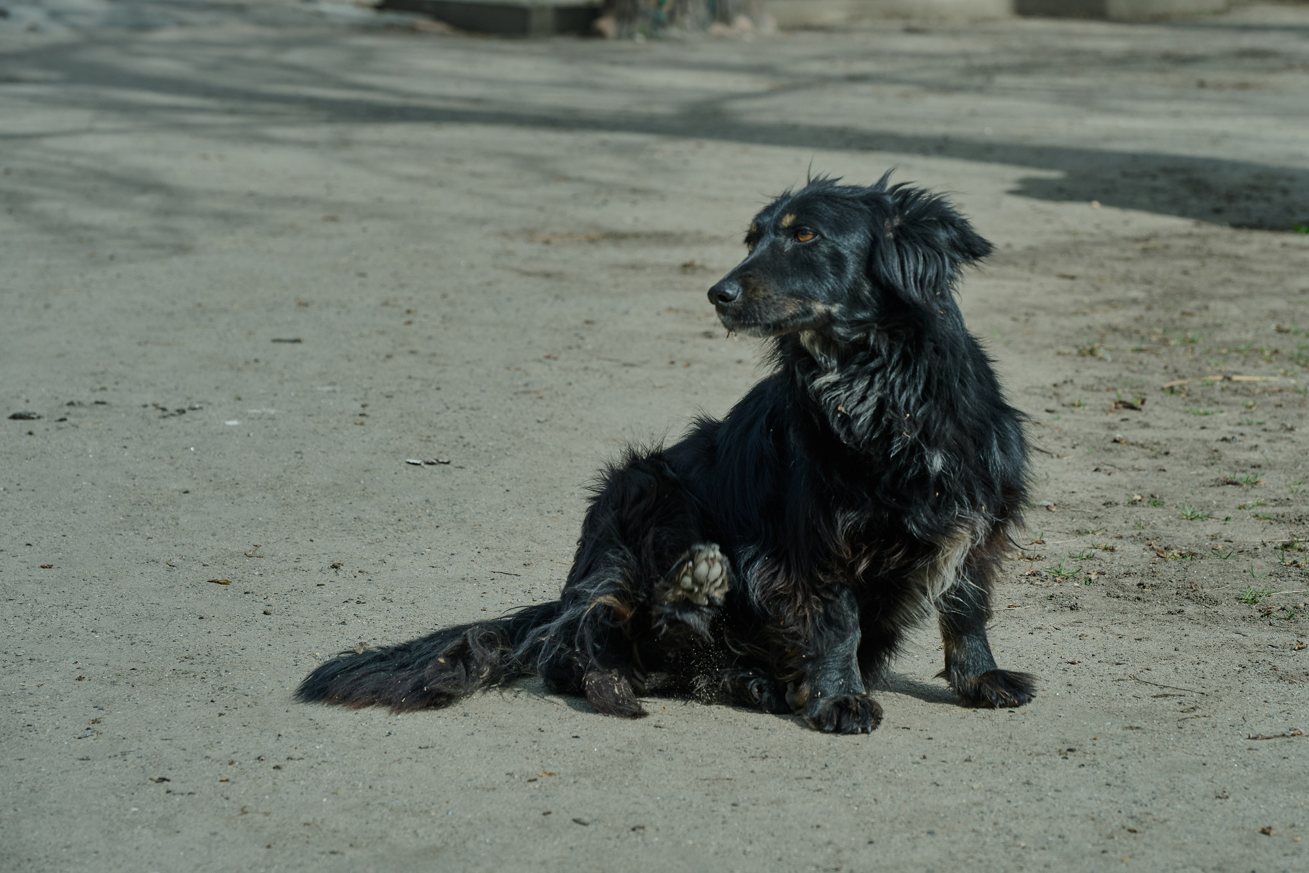 Фото для презентации фотопроекта «Территории». Фотопроект «Территории»