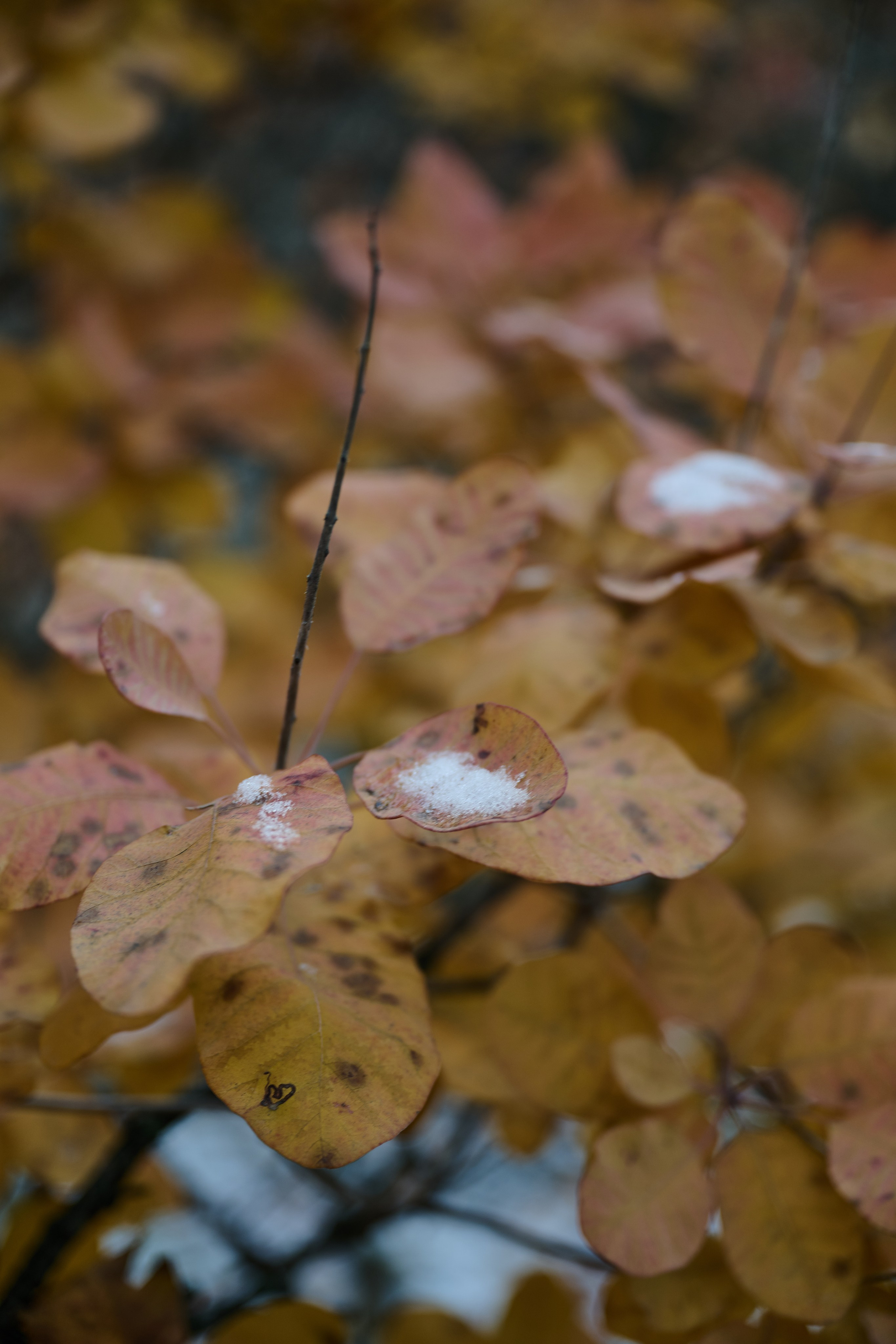 Рубежное. Луганская область. Фотопроект «Территории»