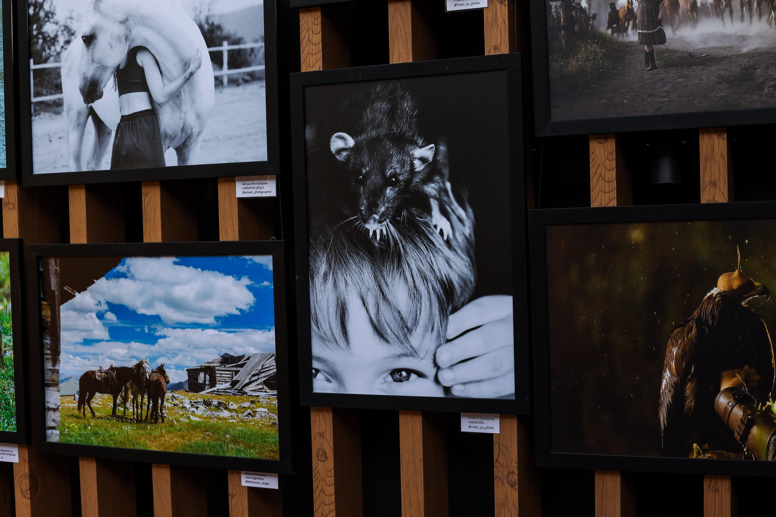 Выставки. Семейный и детский фотограф в Алматы Юровских Инесса