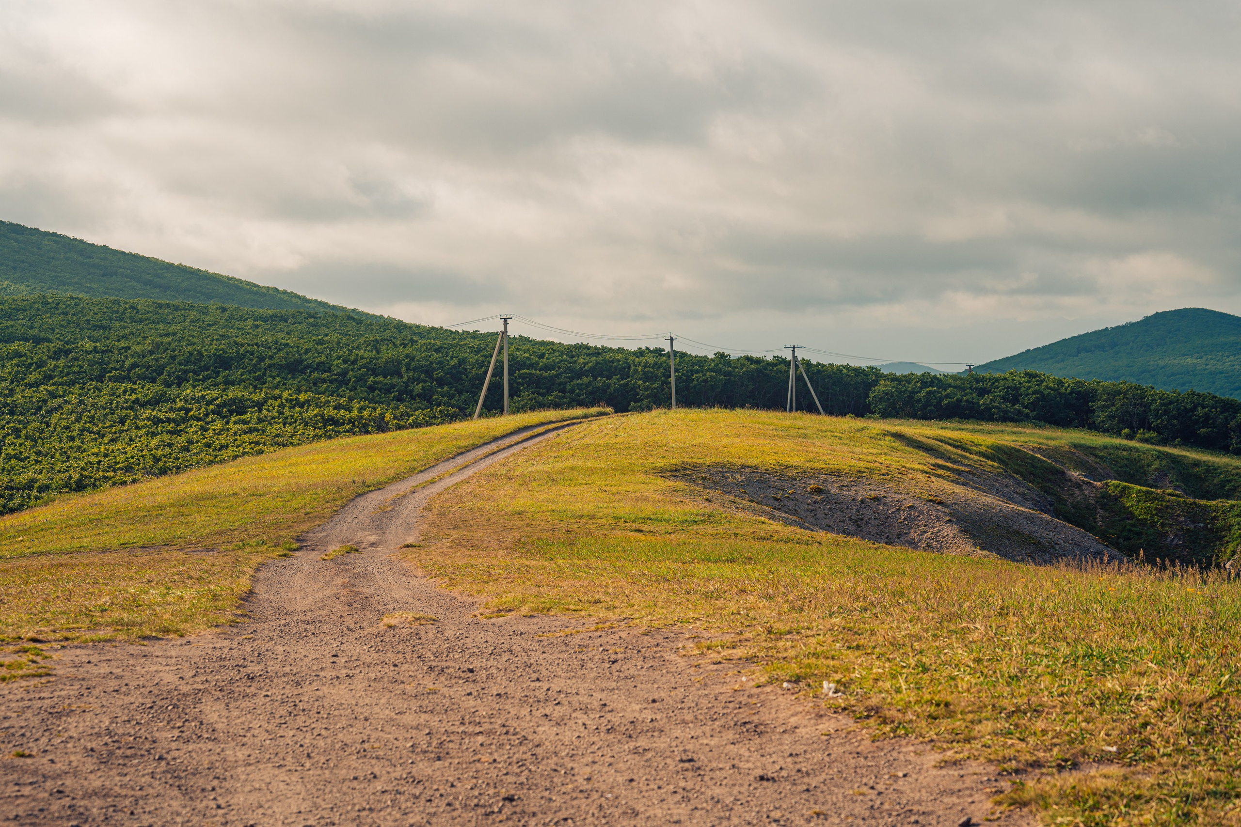 Бухта Дубовая. Иван Зайцев (IZIART) — создание культурного кода через фото и видео