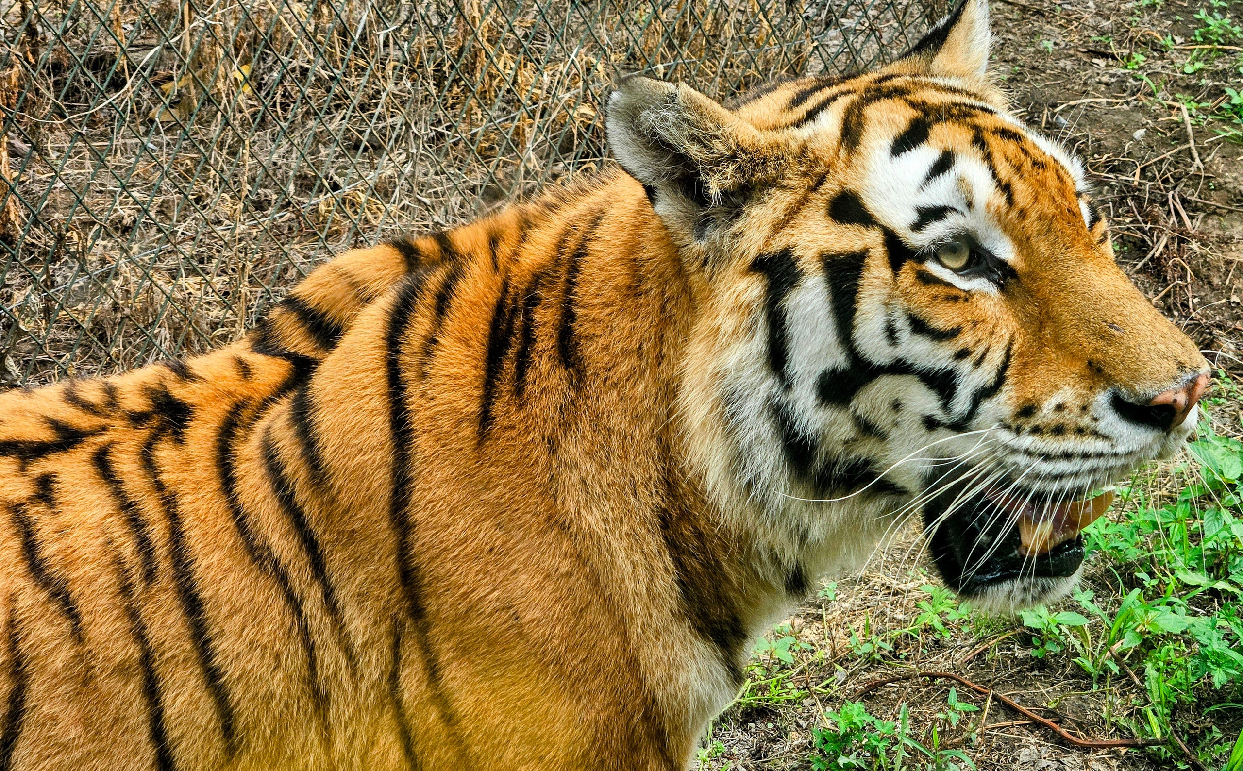 Путешествия