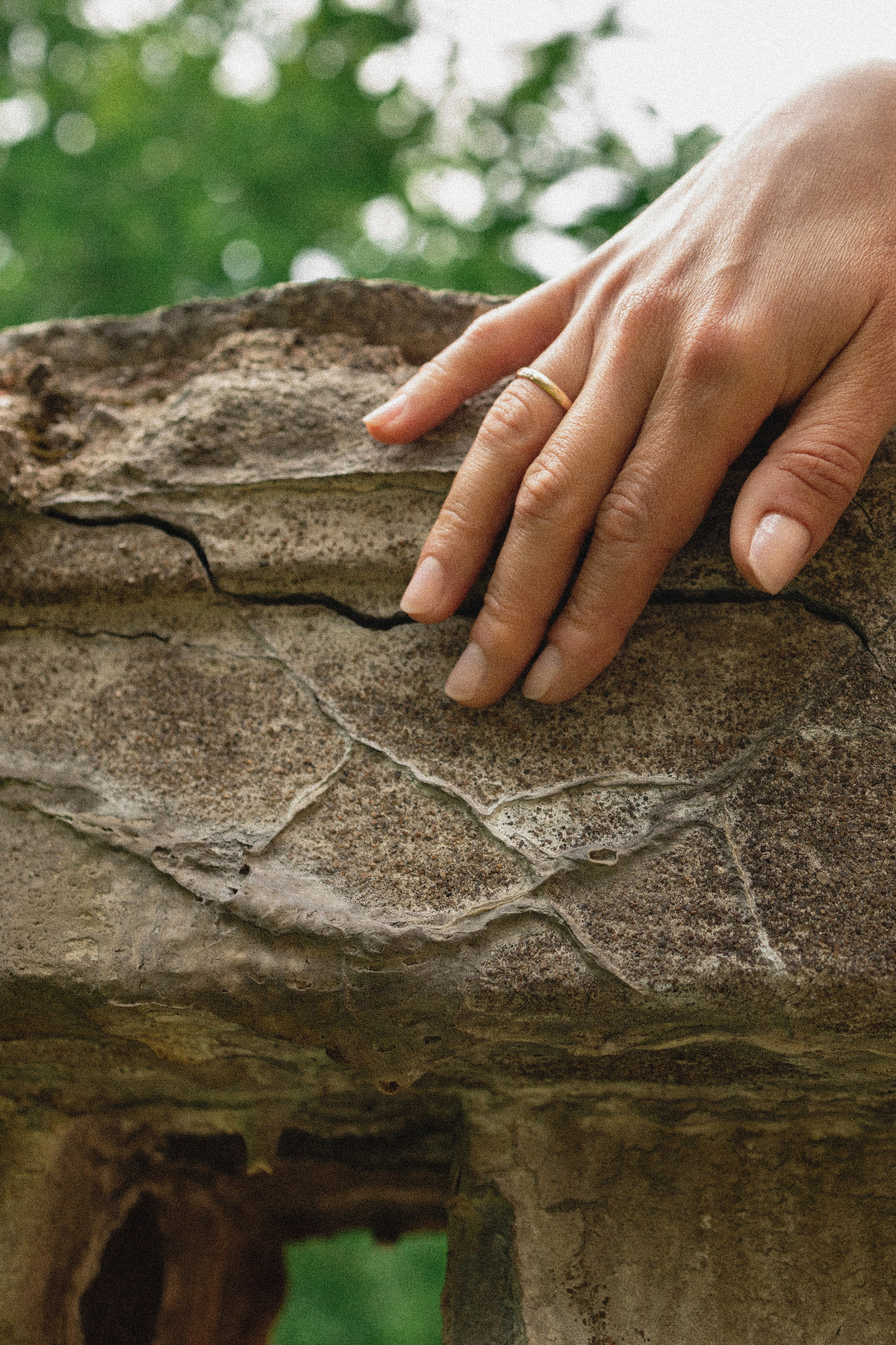Эстетика П р о Я в л е н и я. Виноградова Маргарита. Фотограф P r o Явления