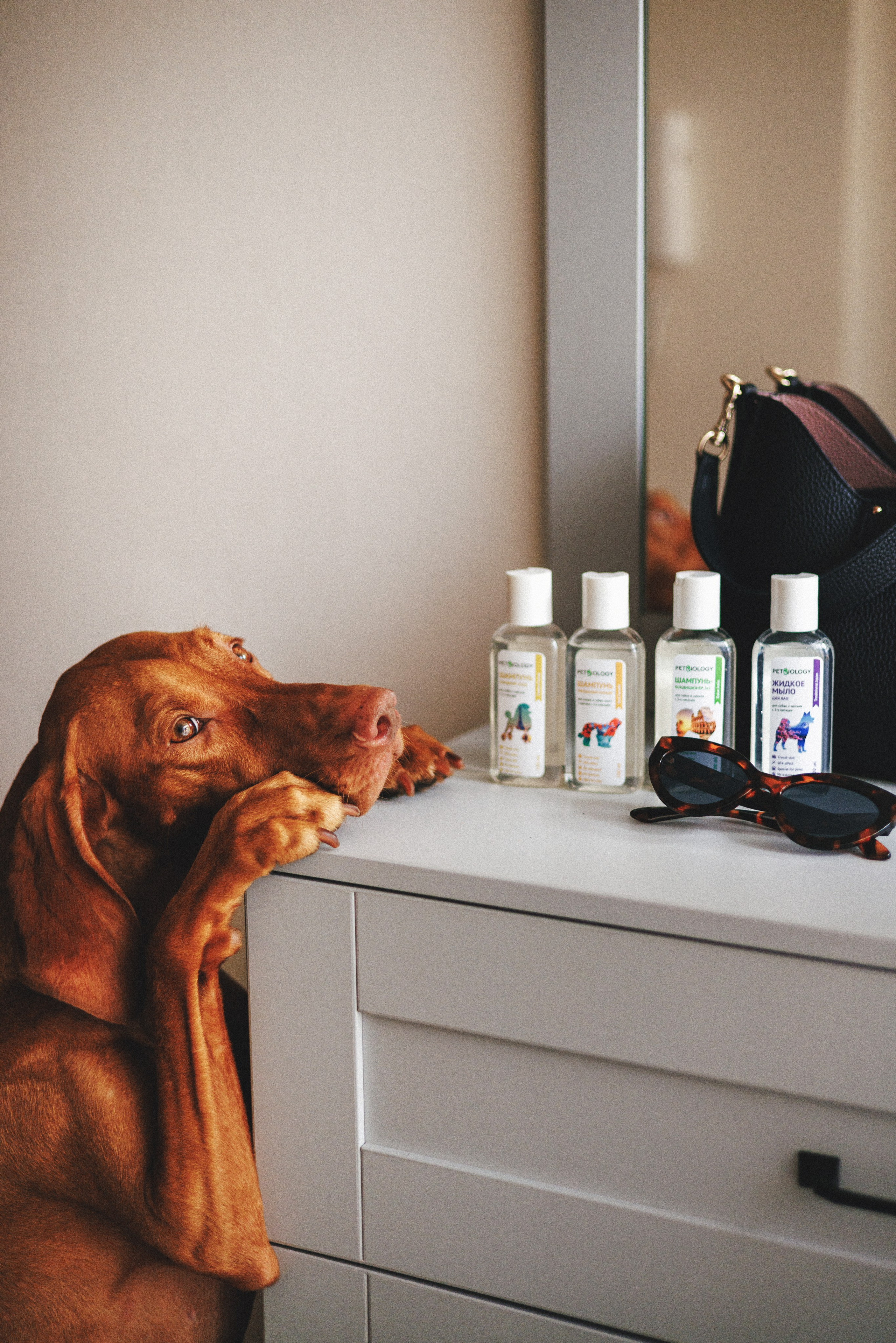 Товары для питомцев M-Pets & Petbiology. Фотограф анималист Осипчикова Мария