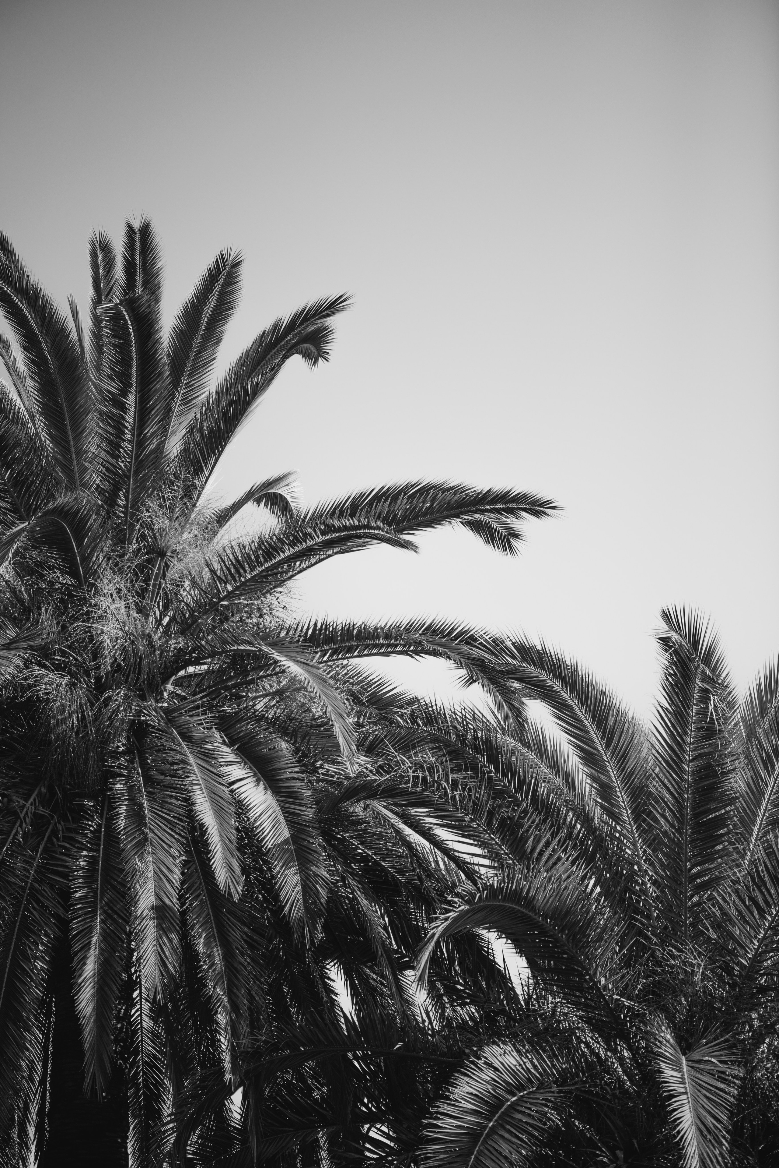 Стрит фото. Беличкин Михаил. Портретный и предметный фотограф в городе Тольятти