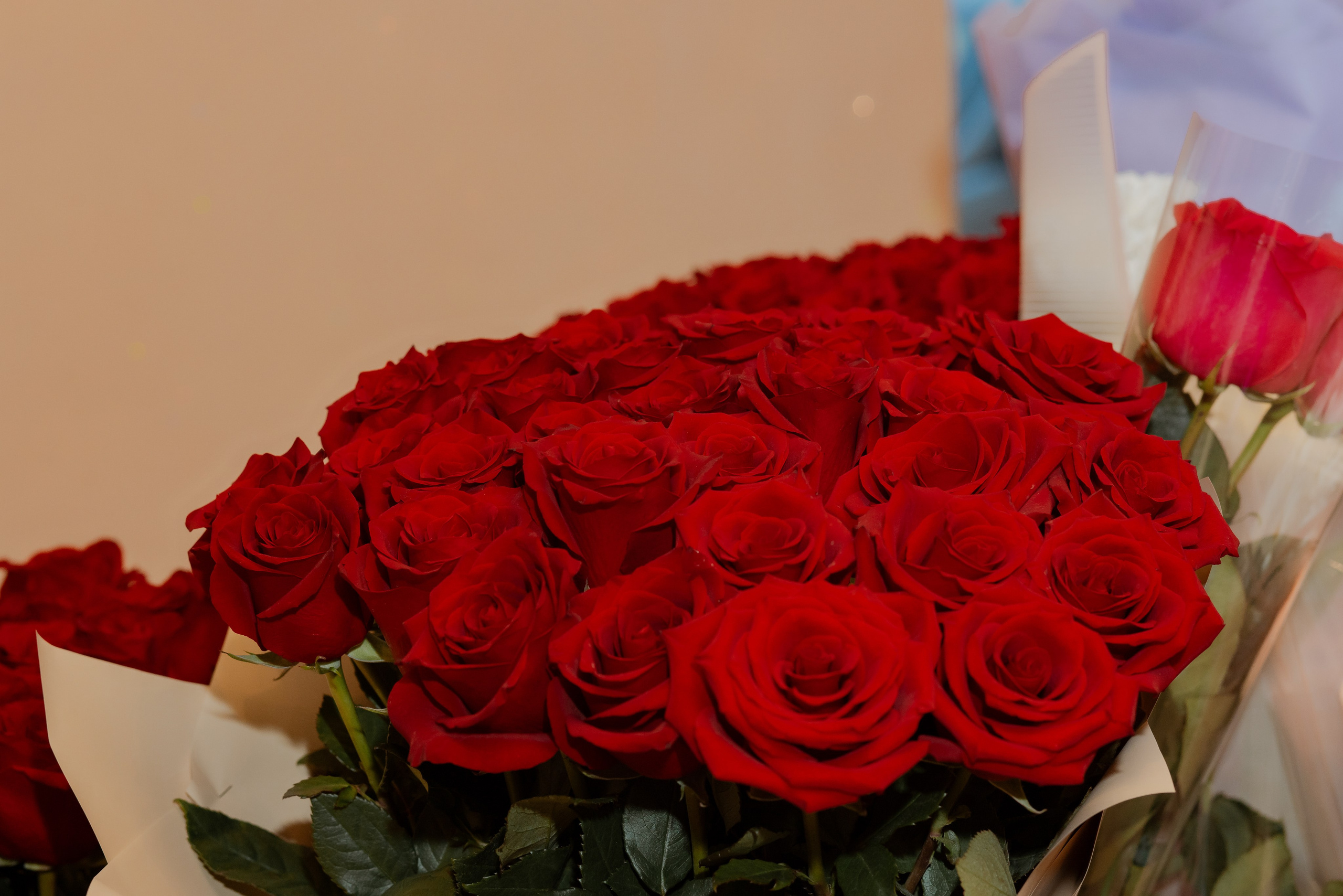 Юбилей Юлии. Семейный фотограф в Вышнем Волочке — Ульяна Иванова | Фотосессии для всей семьи