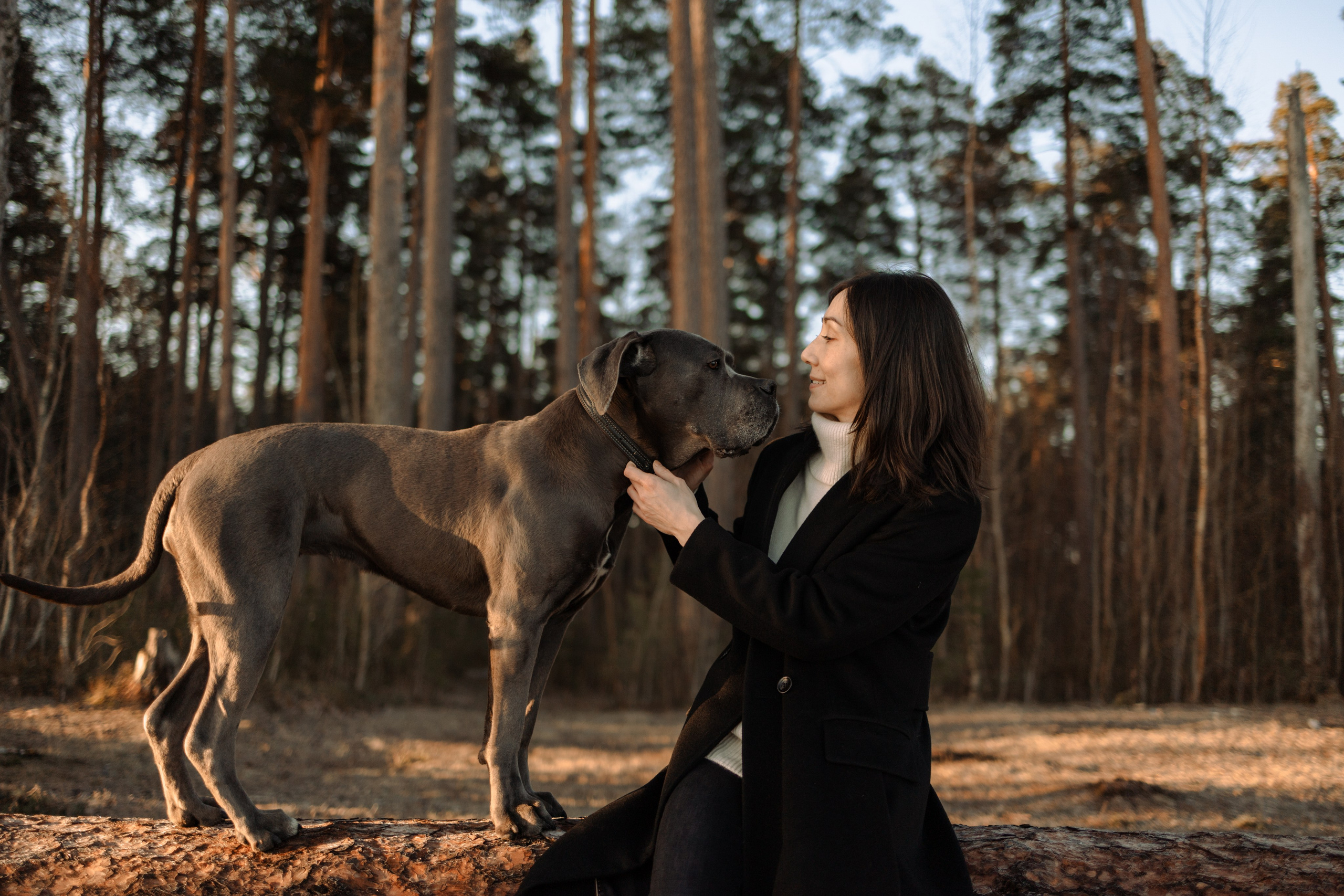 Анна и Лана. Фотограф — Анималист | Санкт-Петербург