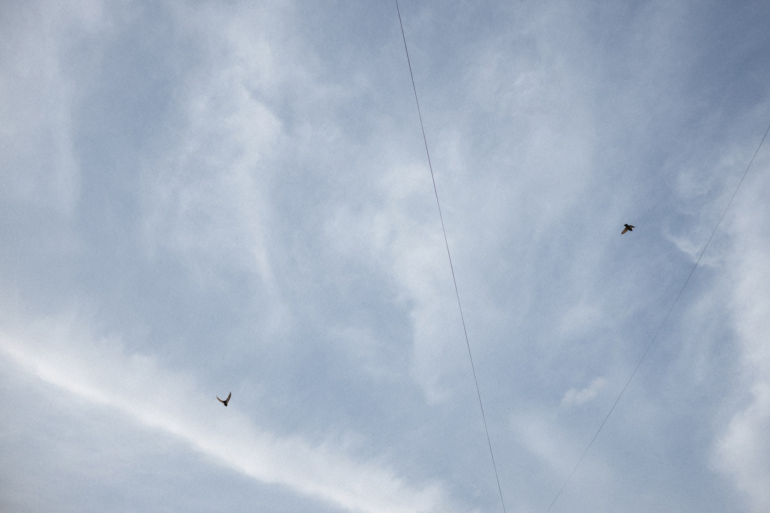 Окунуться в детство 🤍 Прогулка с сестрой. Вера Пьянцева фотограф в Санкт-Петербурге | индивидуальная, семейная и парная (love-story) съёмка
