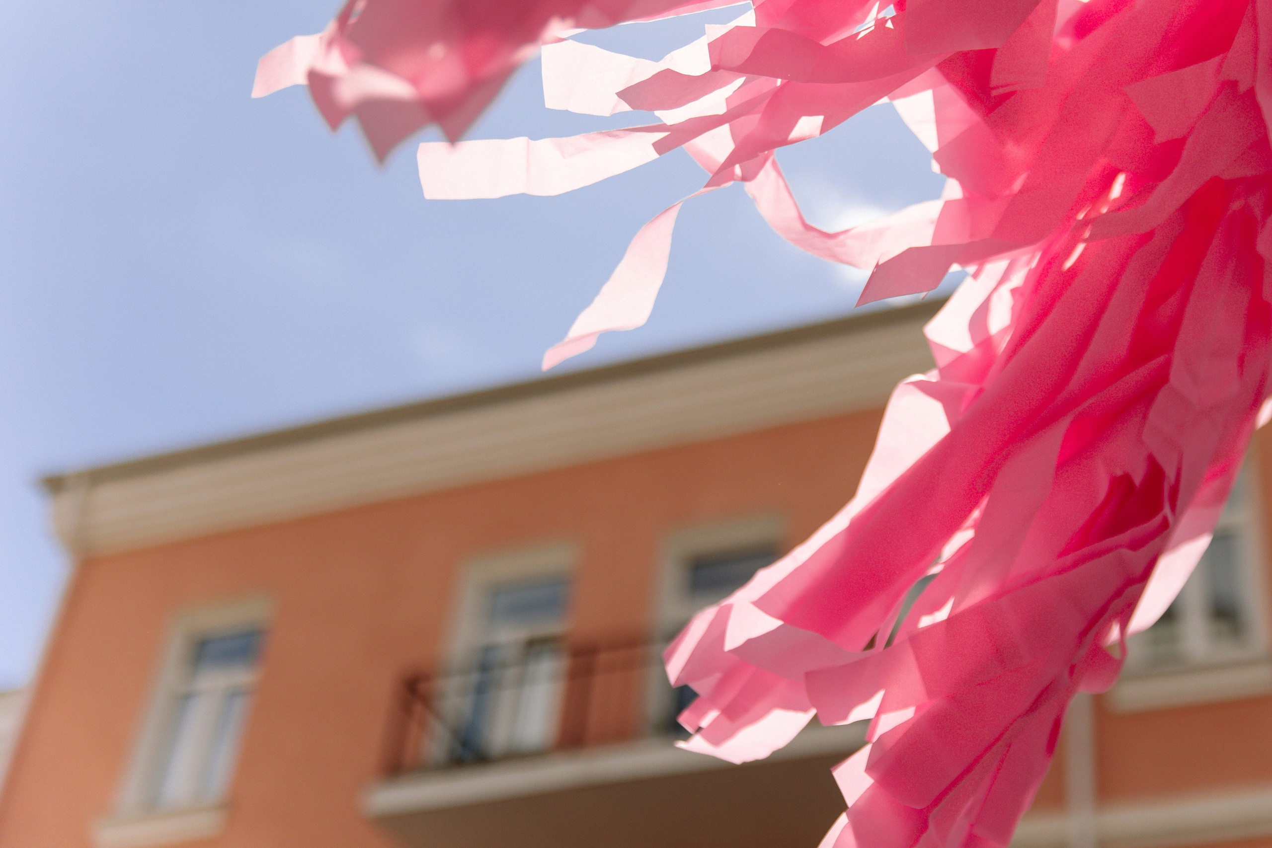 Цветок детства. Свадебный фотограф Алина Хабарова