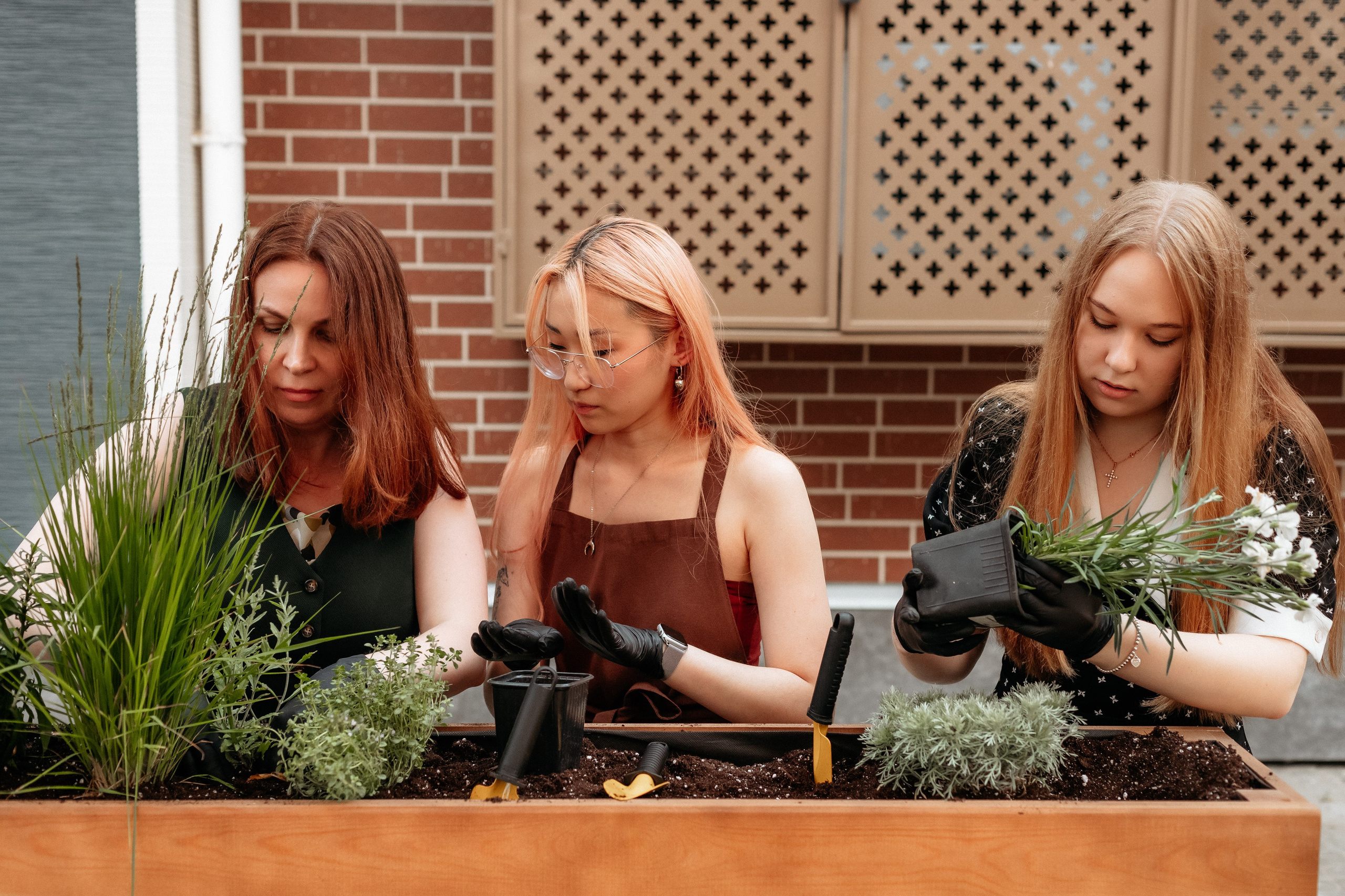 РЕСНОТА — ОТКРЫТИЕ ТЕРРАСЫ. СВОИ. ФОТООТЧЕТЫ-СОБЫТИЯ-МЕСТА