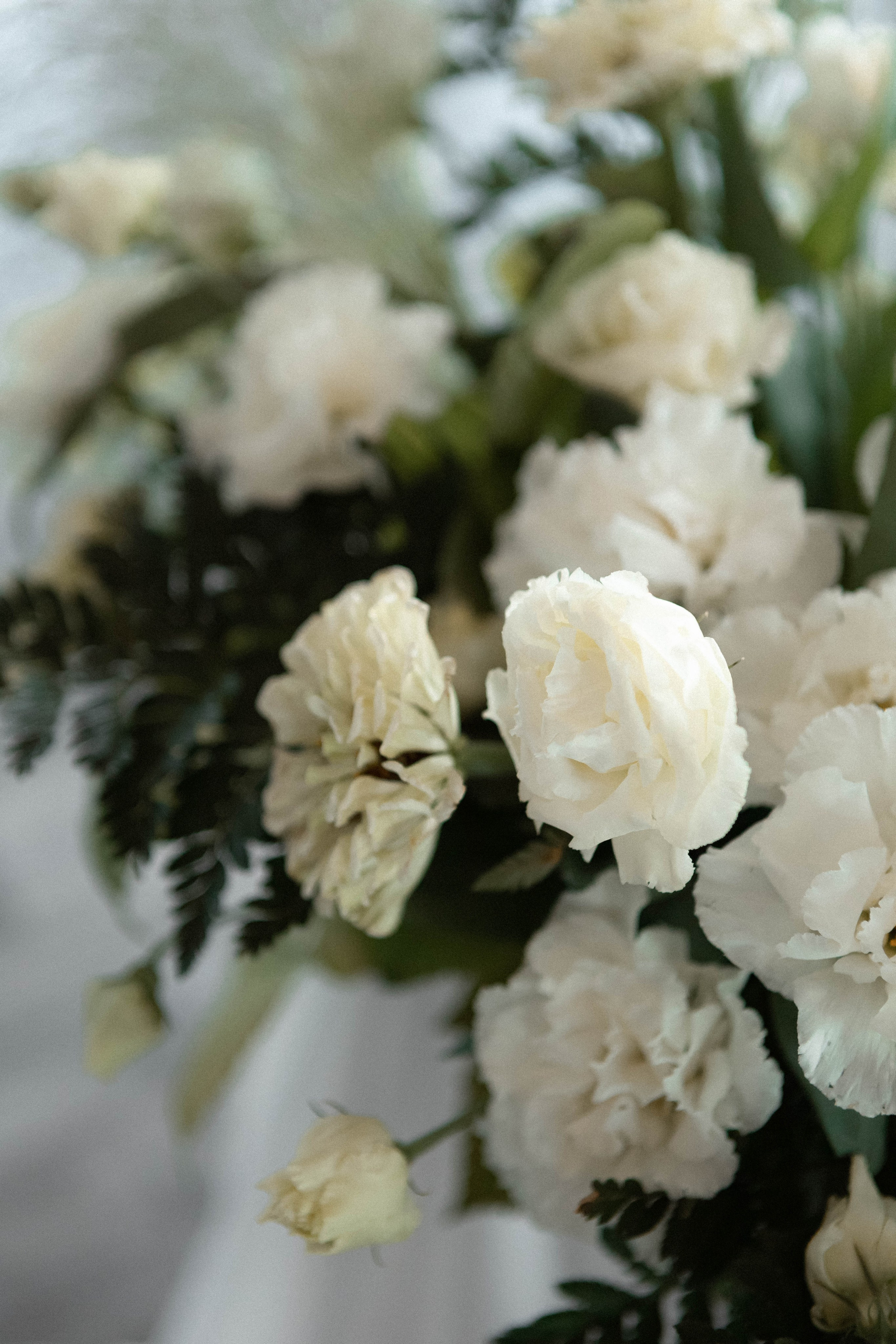 Валерия и Евгений. Фотограф Дубровская Виктория